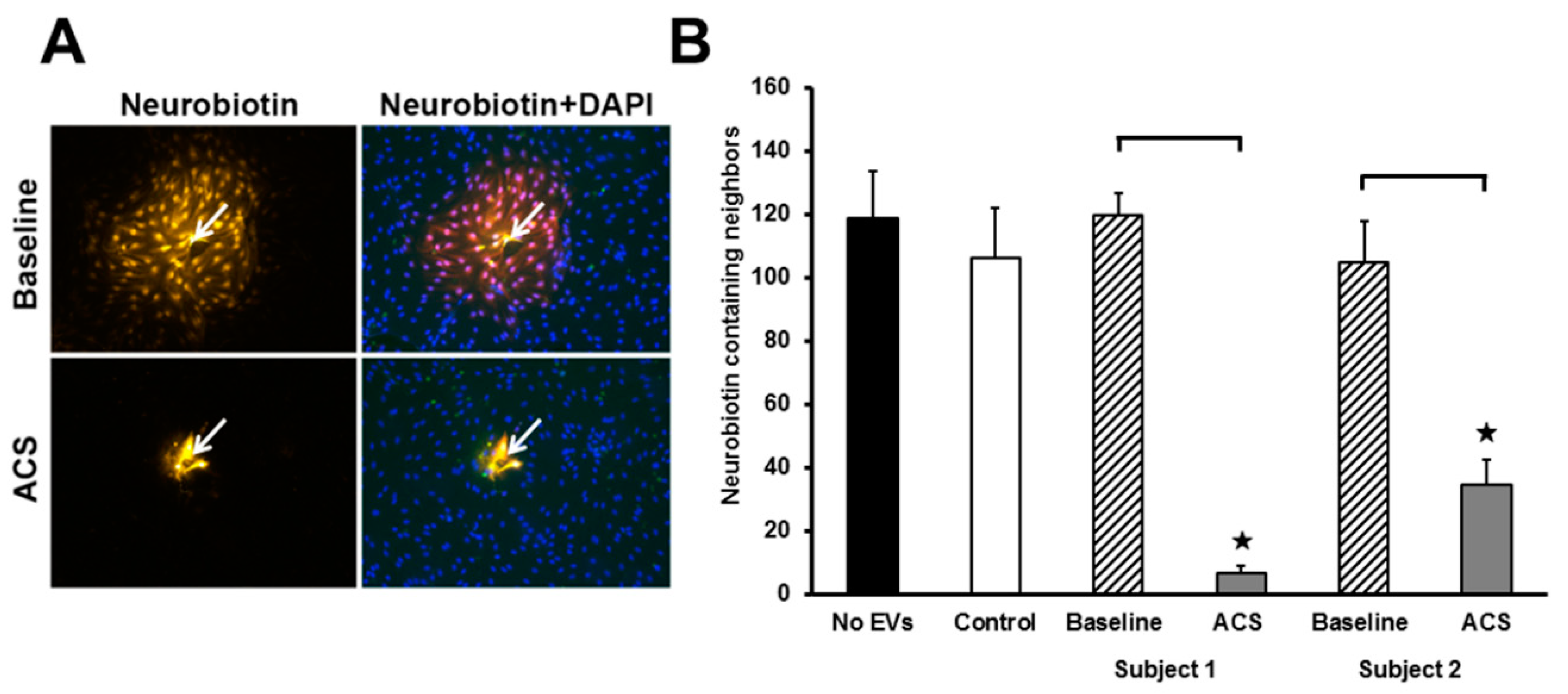 Ijms 21 08884 g006 Ijms 21 08884 g006