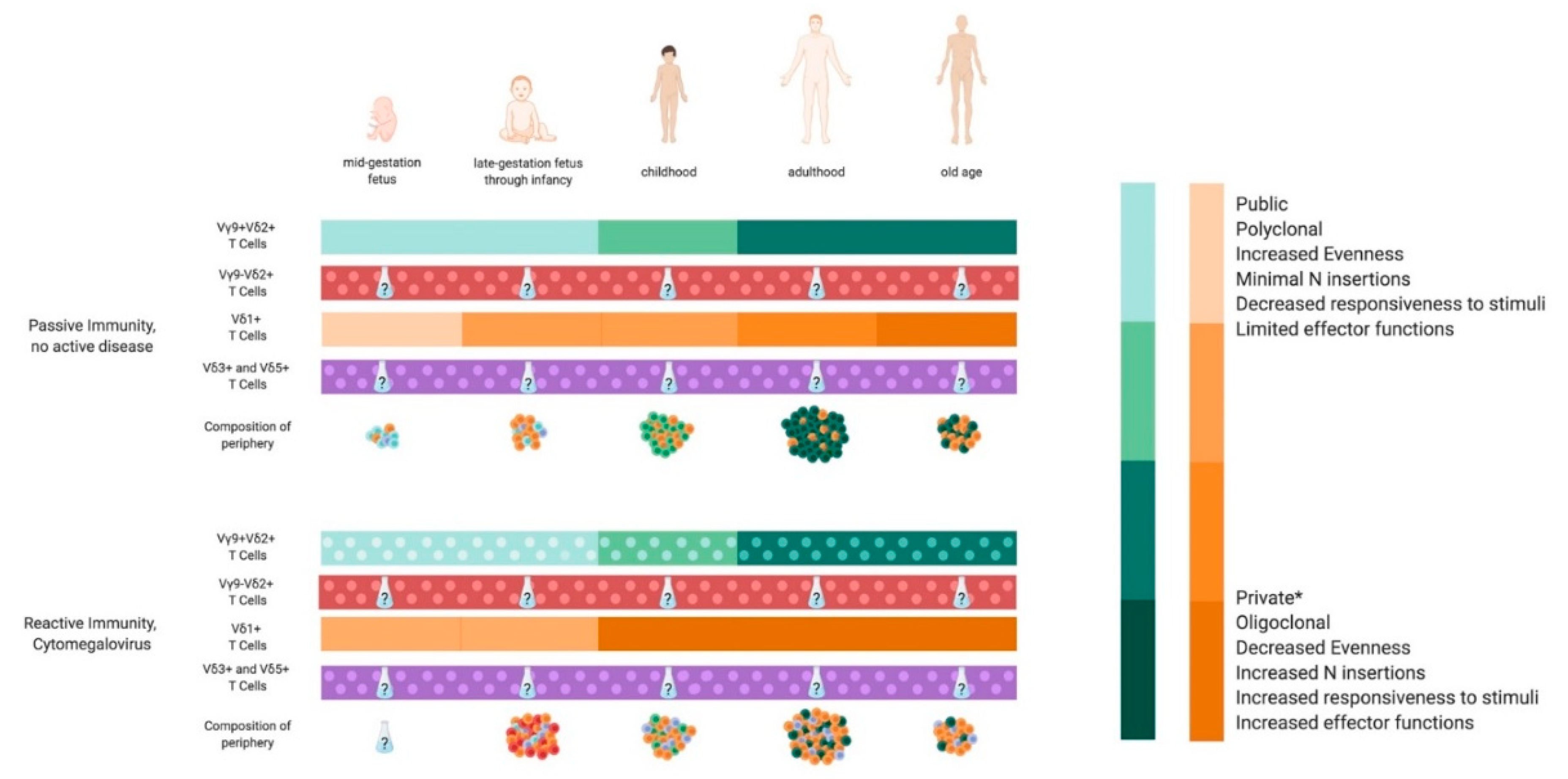 Ijms 21 08903 g001 Ijms 21 08903 g001