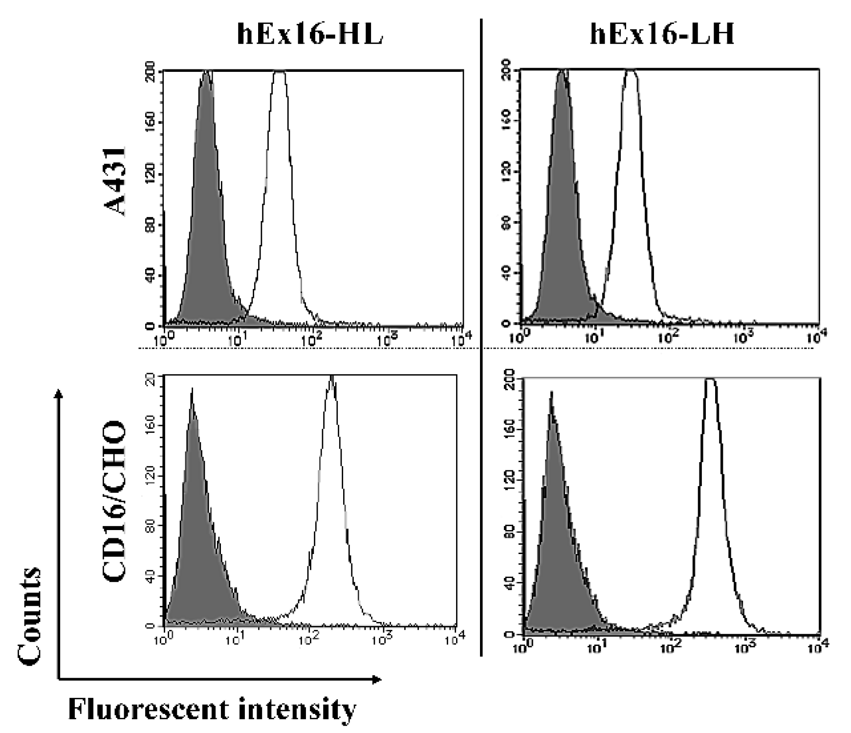 Ijms 21 08914 g004 Ijms 21 08914 g004