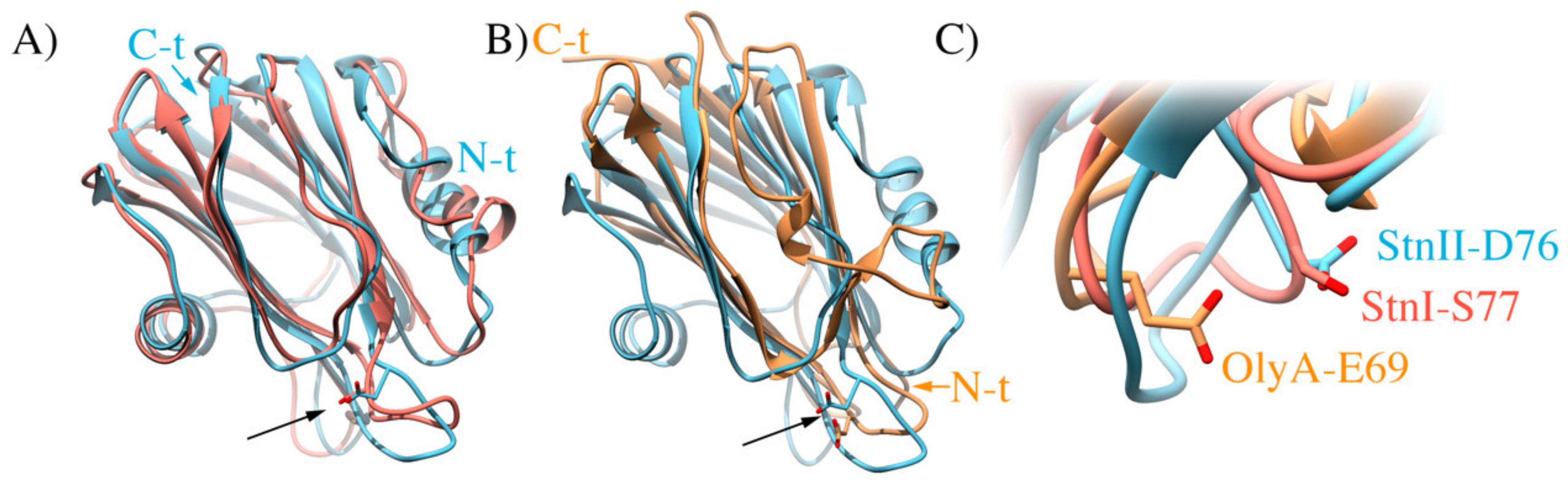 Ijms 21 08915 g008 Ijms 21 08915 g008