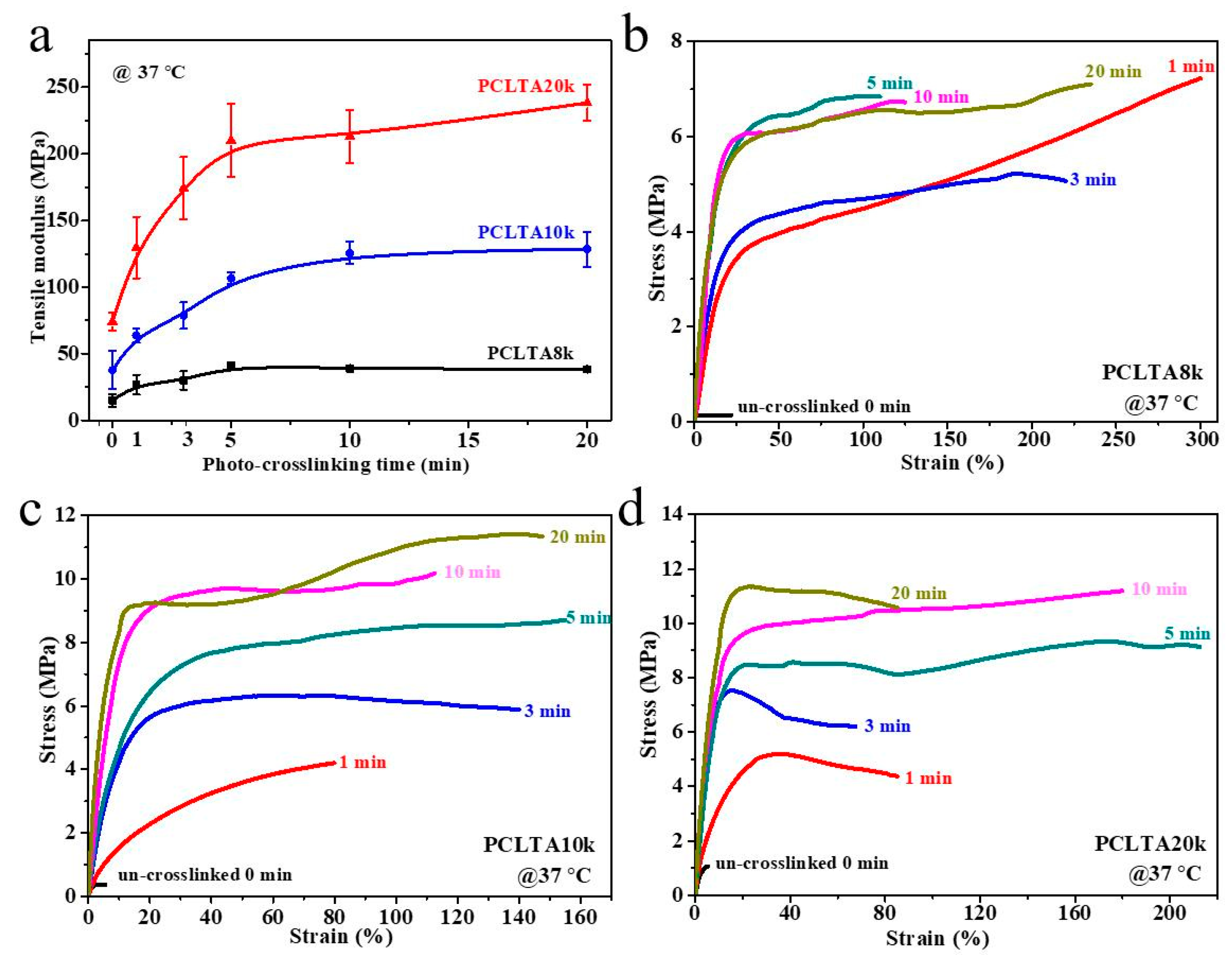 Ijms 21 08932 g003 Ijms 21 08932 g003