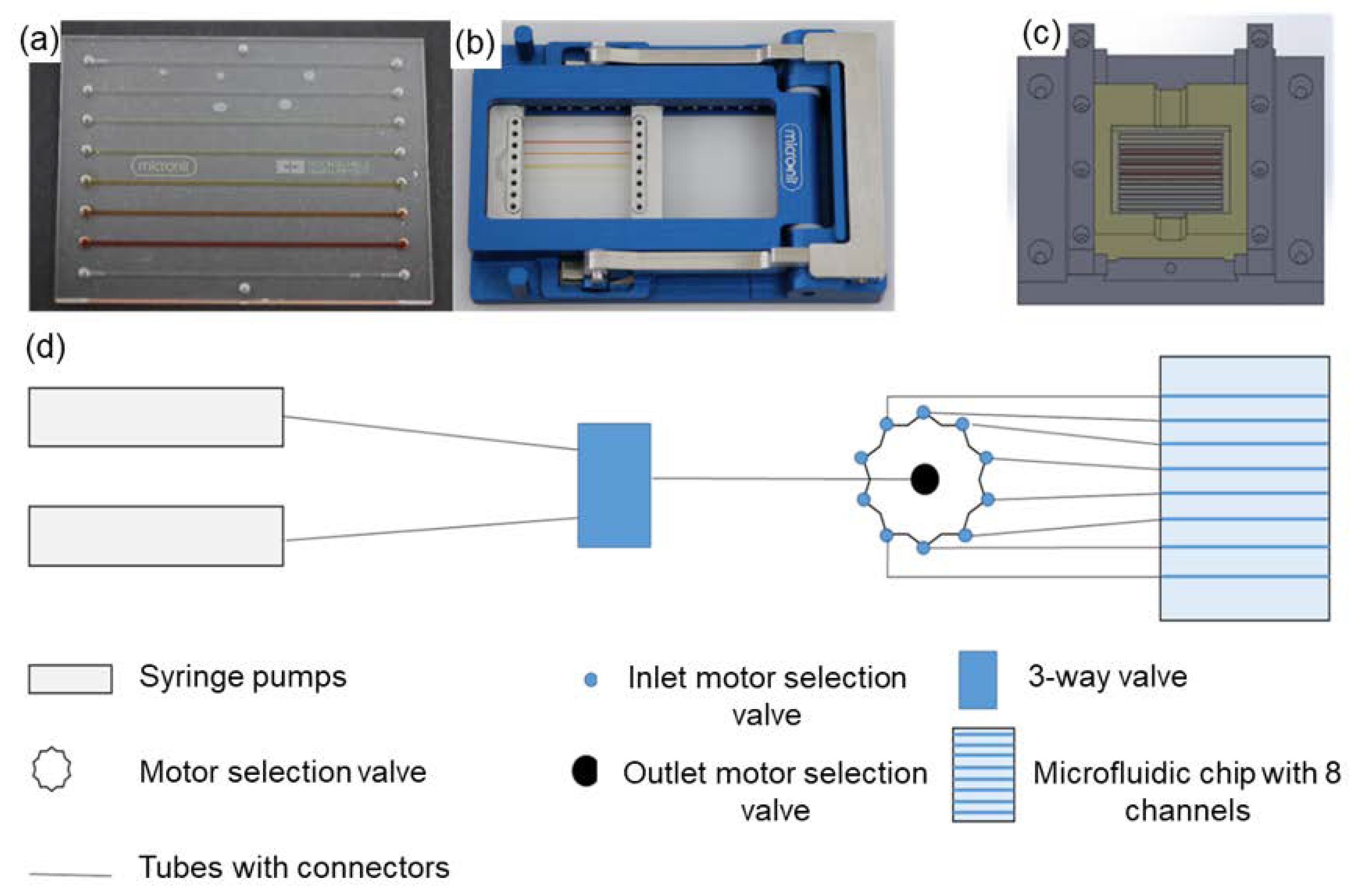 Ijms 21 08942 g002 Ijms 21 08942 g002