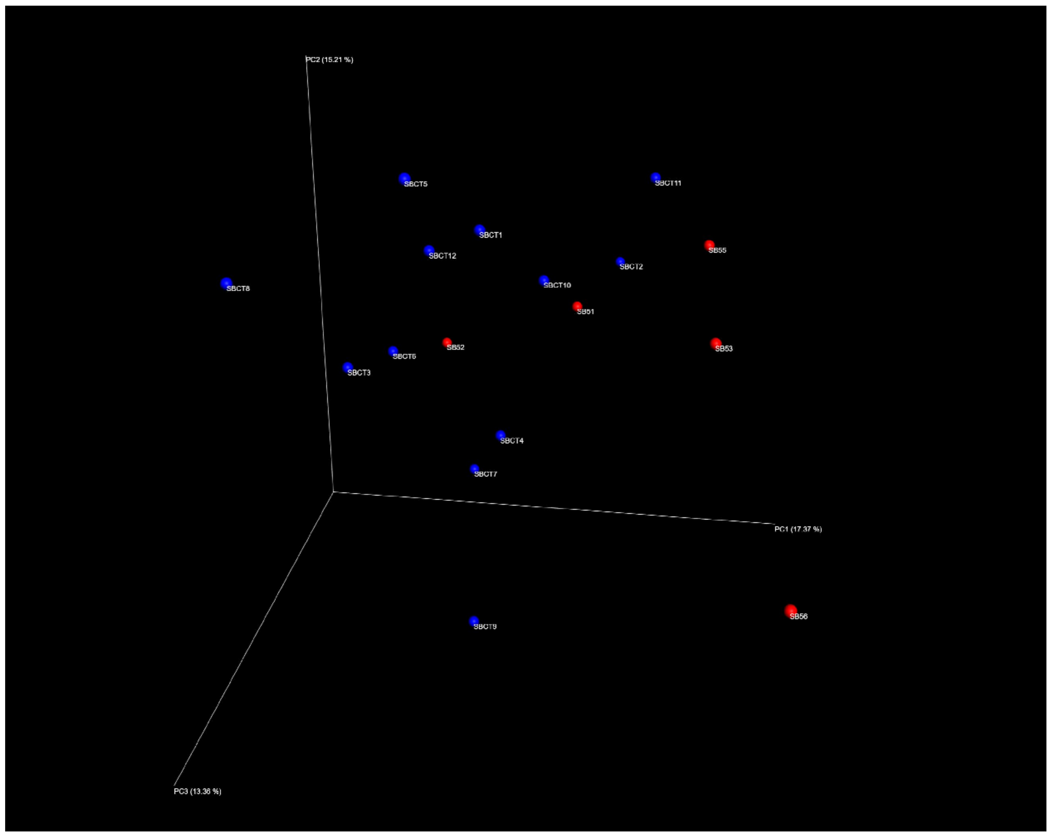 Ijms 21 08946 g001 Ijms 21 08946 g001