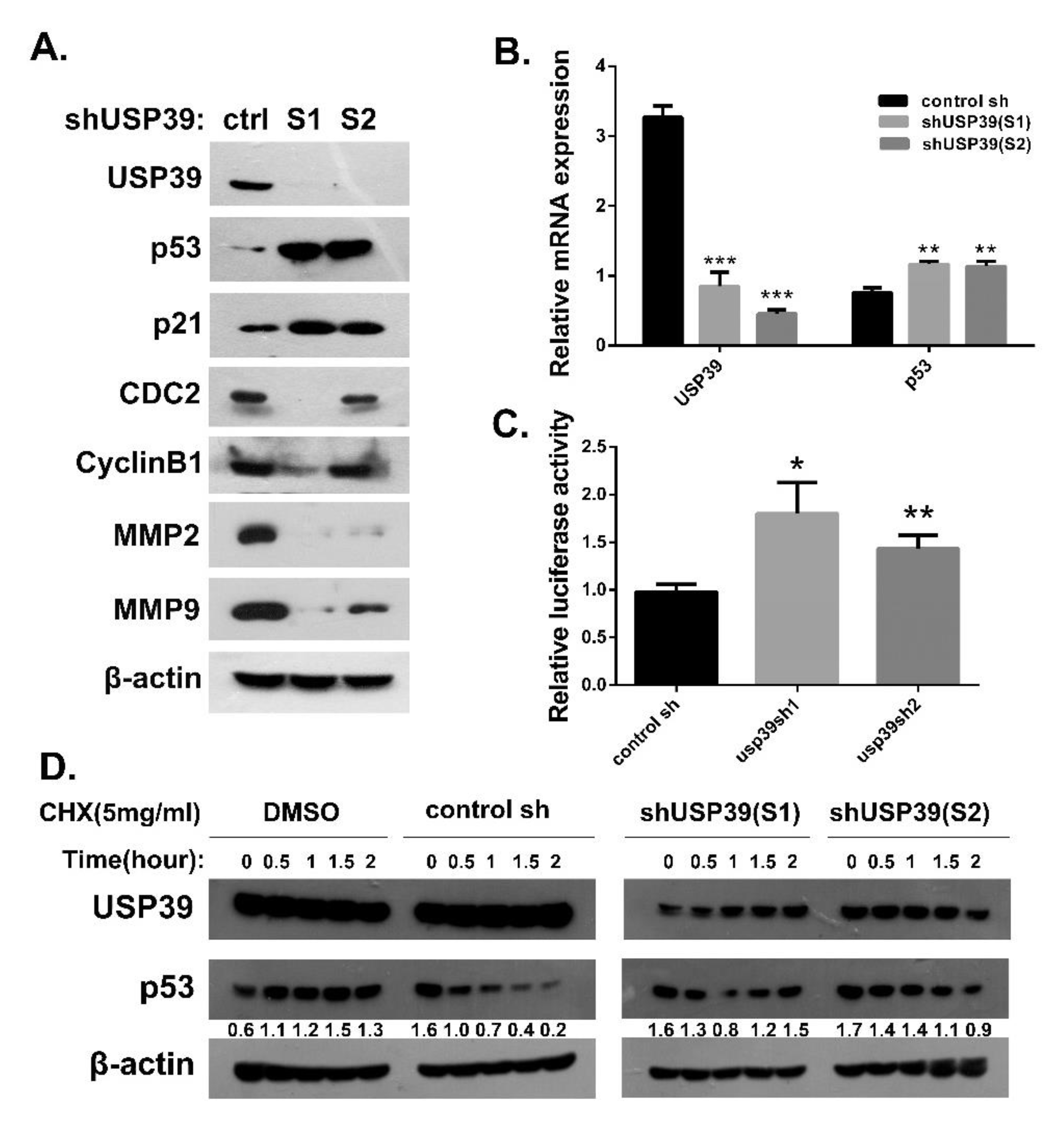Ijms 21 08949 g006 Ijms 21 08949 g006