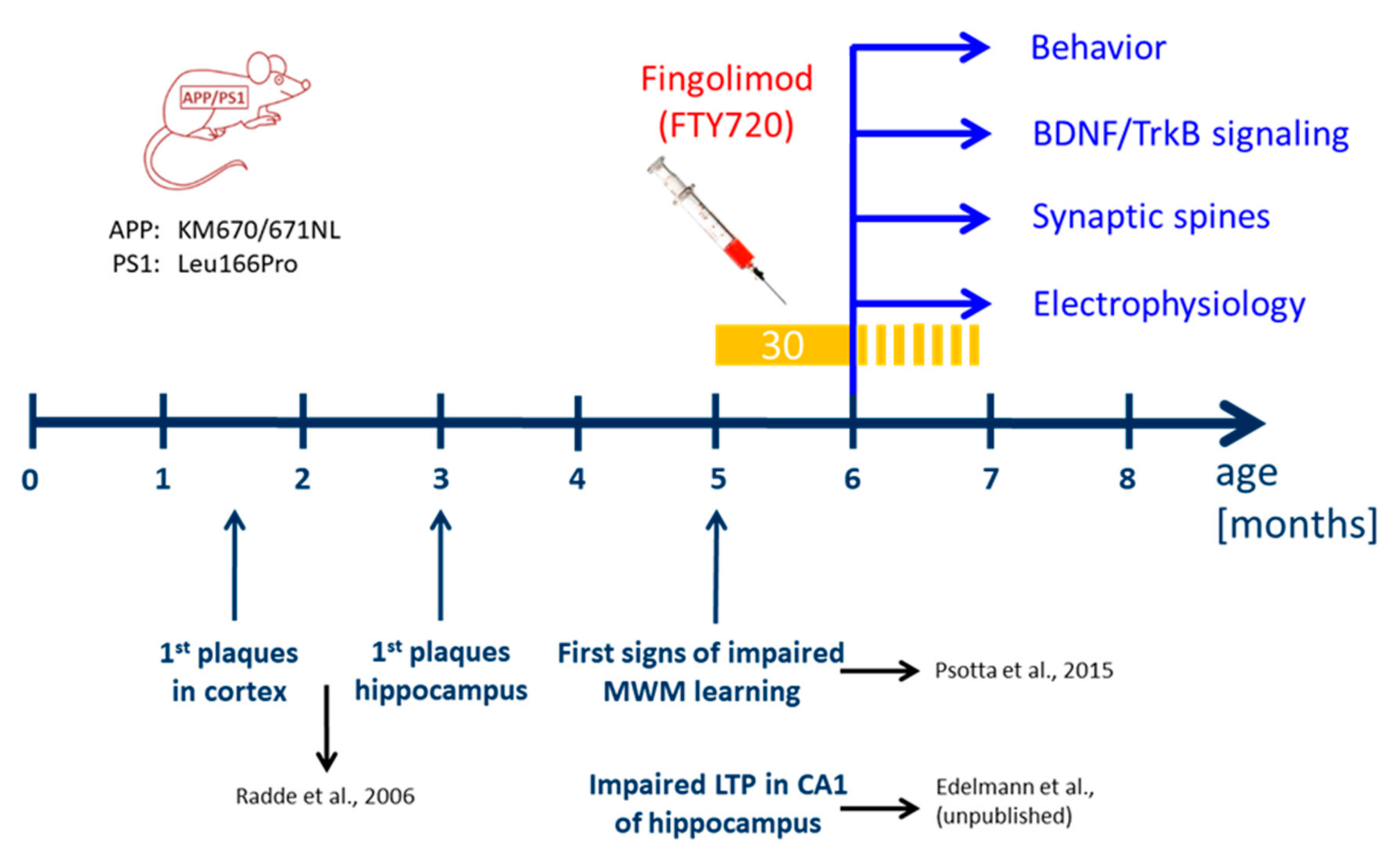Ijms 21 08957 g001 Ijms 21 08957 g001