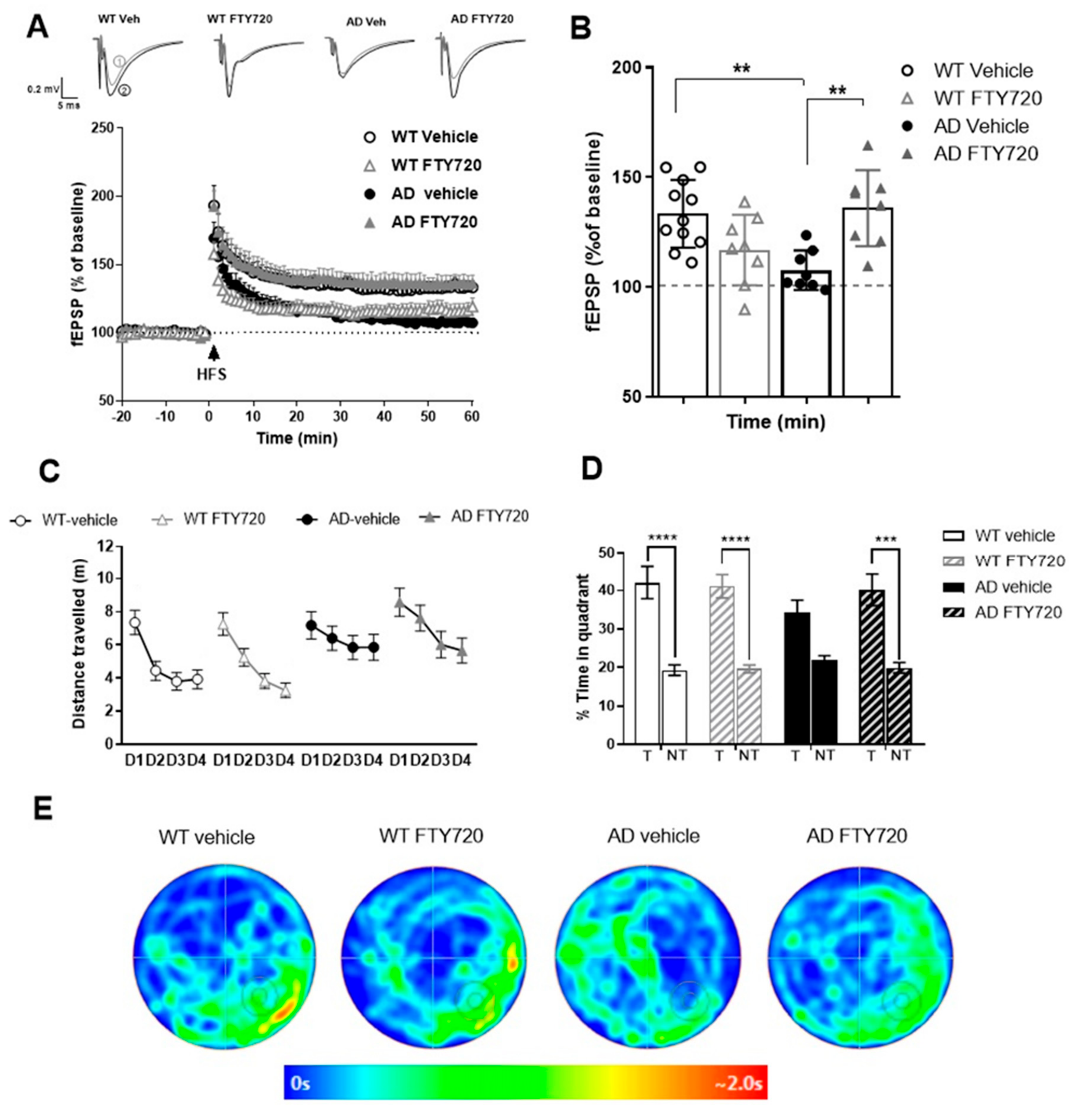 Ijms 21 08957 g003 Ijms 21 08957 g003
