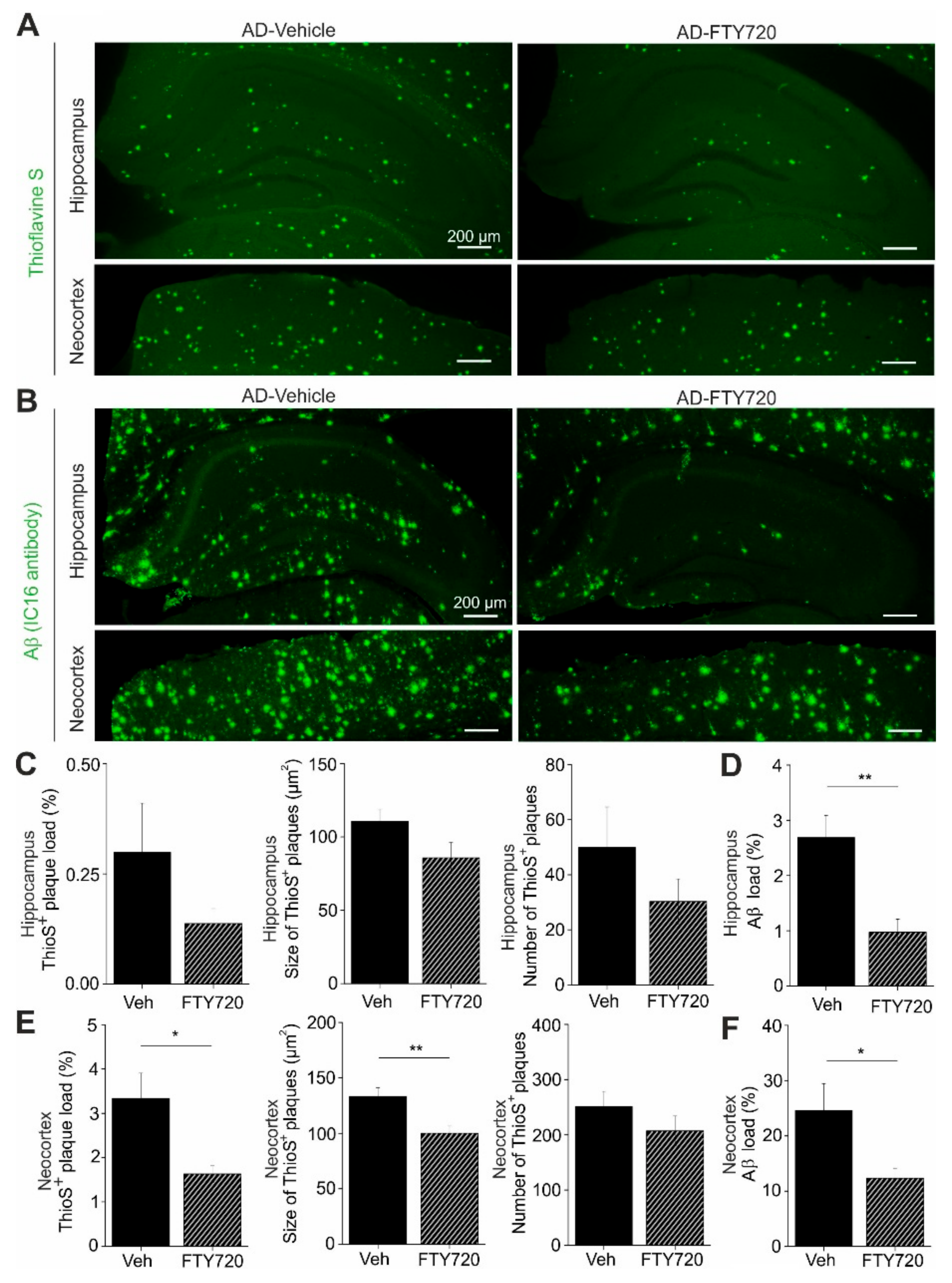 Ijms 21 08957 g006 Ijms 21 08957 g006