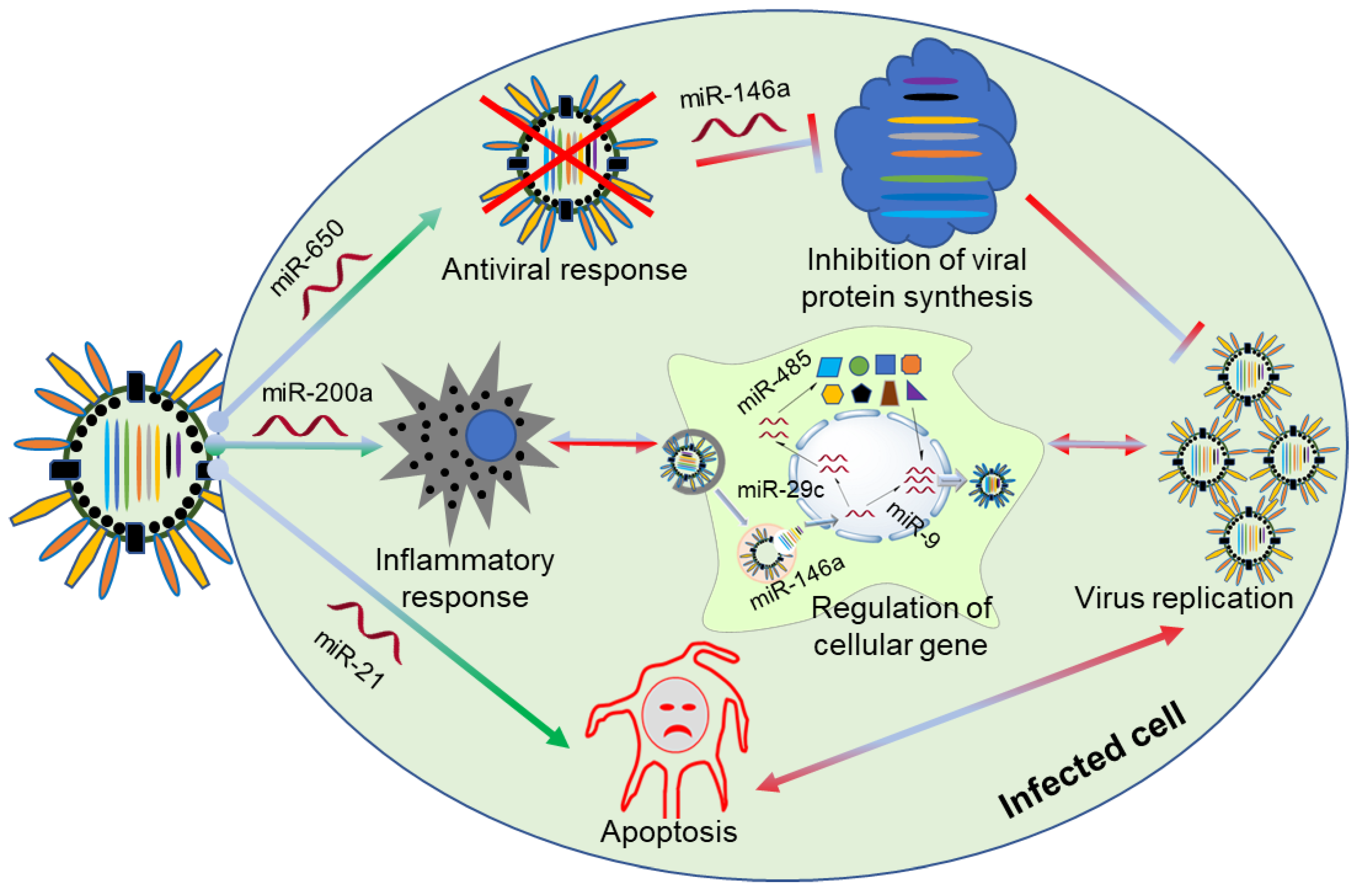 Ijms 21 08962 g001 Ijms 21 08962 g001