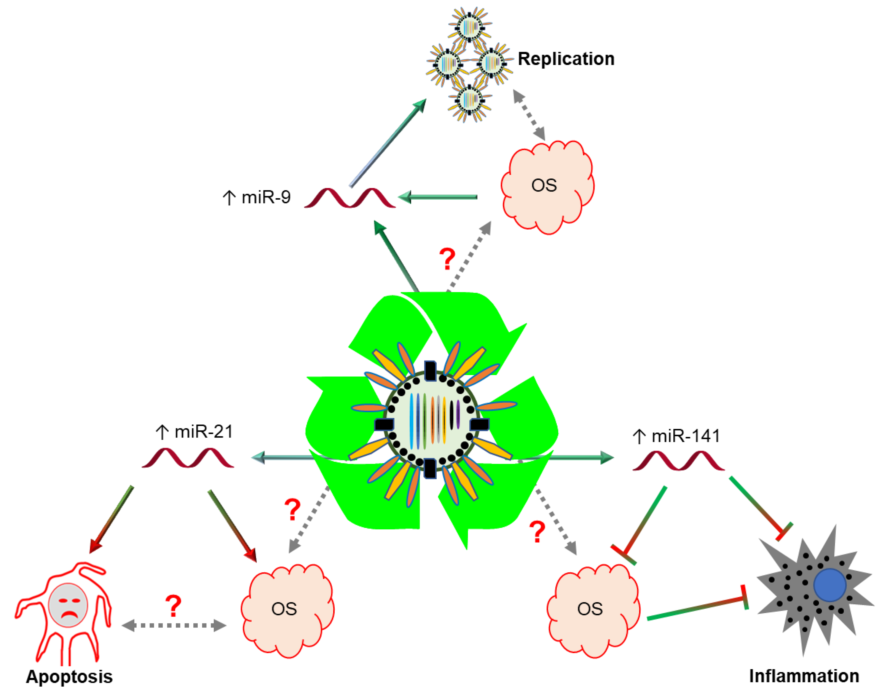 Ijms 21 08962 g004 Ijms 21 08962 g004