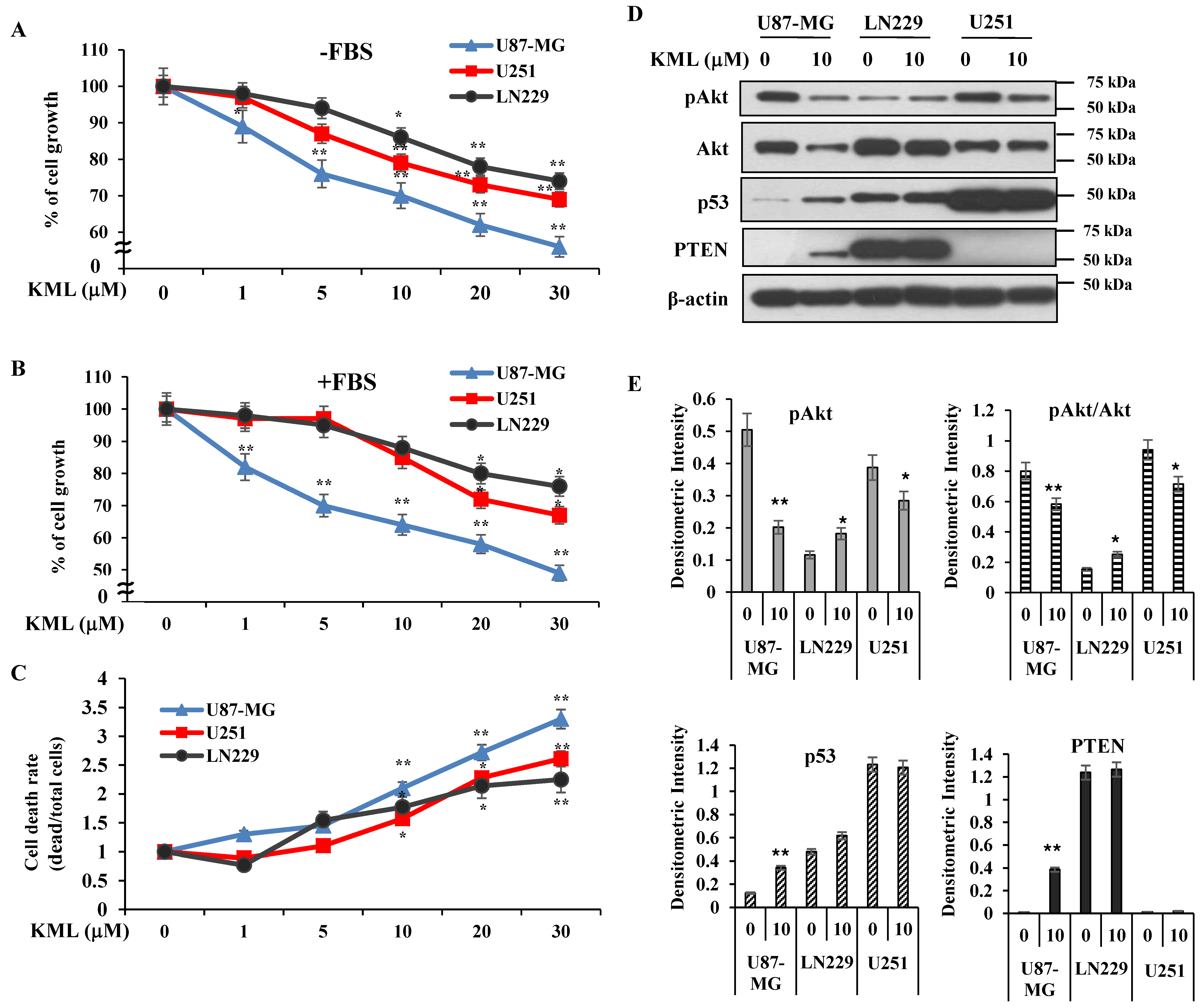 Ijms 21 08982 g002 Ijms 21 08982 g002