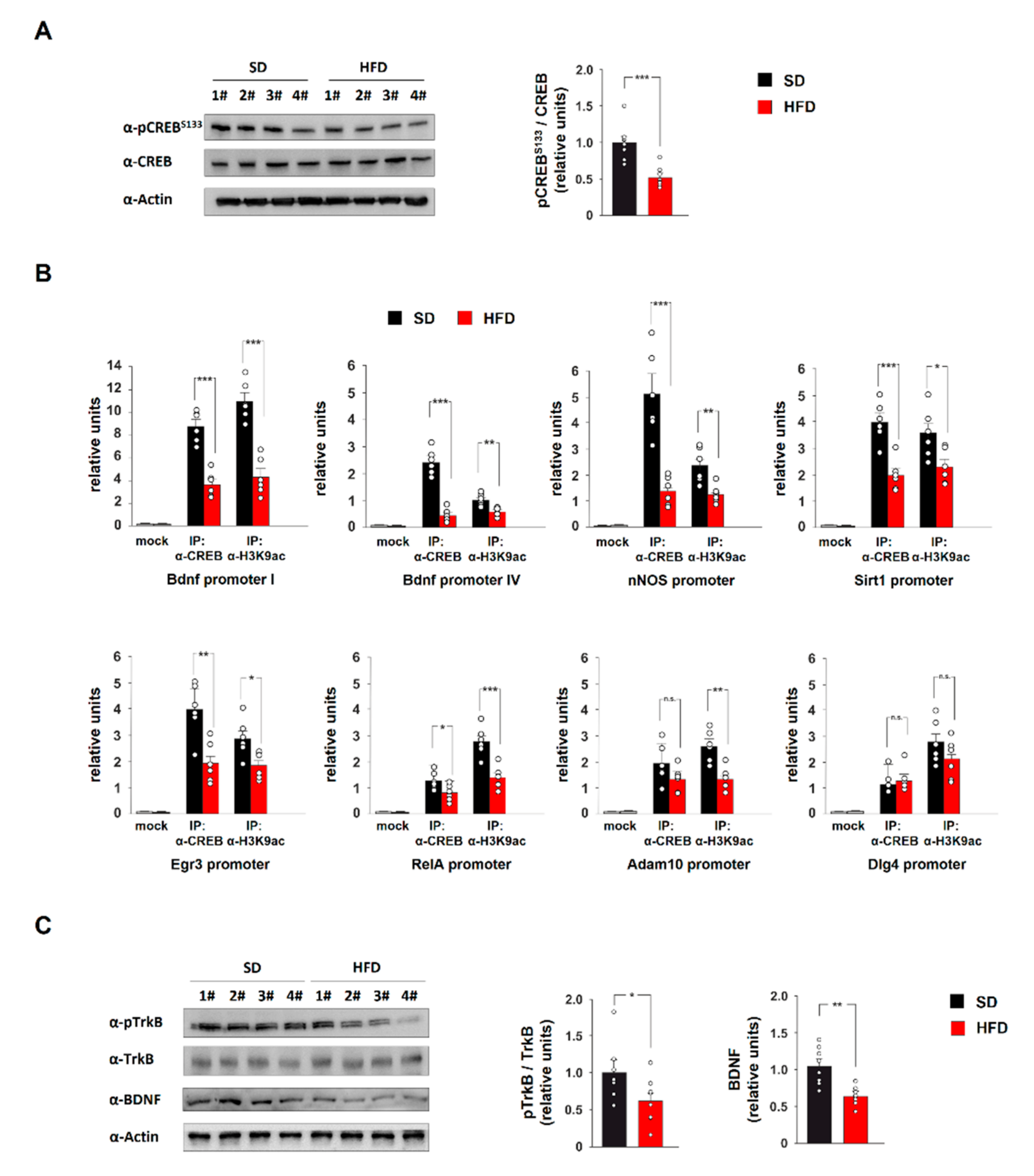 Ijms 21 08994 g002 Ijms 21 08994 g002