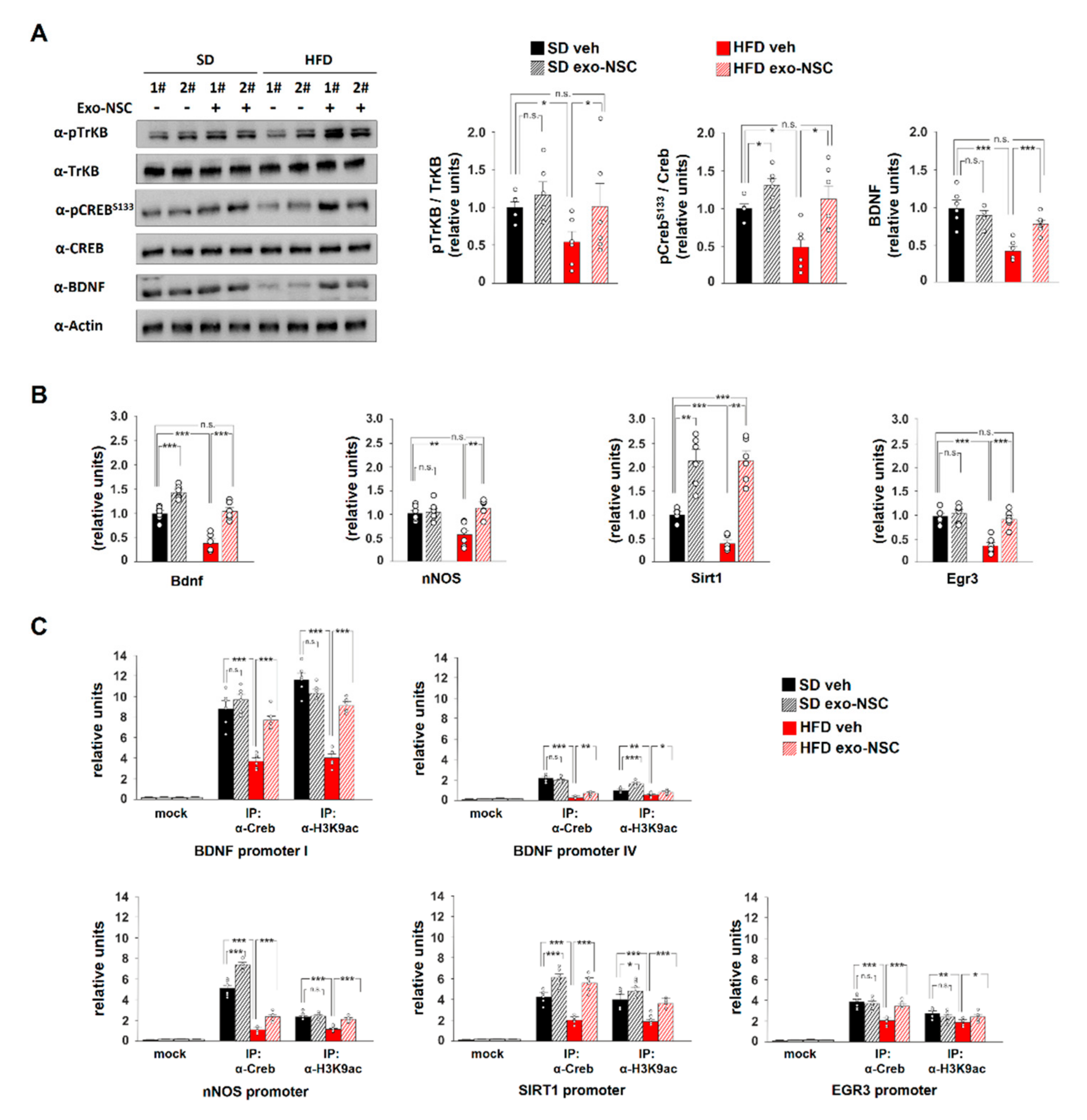 Ijms 21 08994 g004 Ijms 21 08994 g004