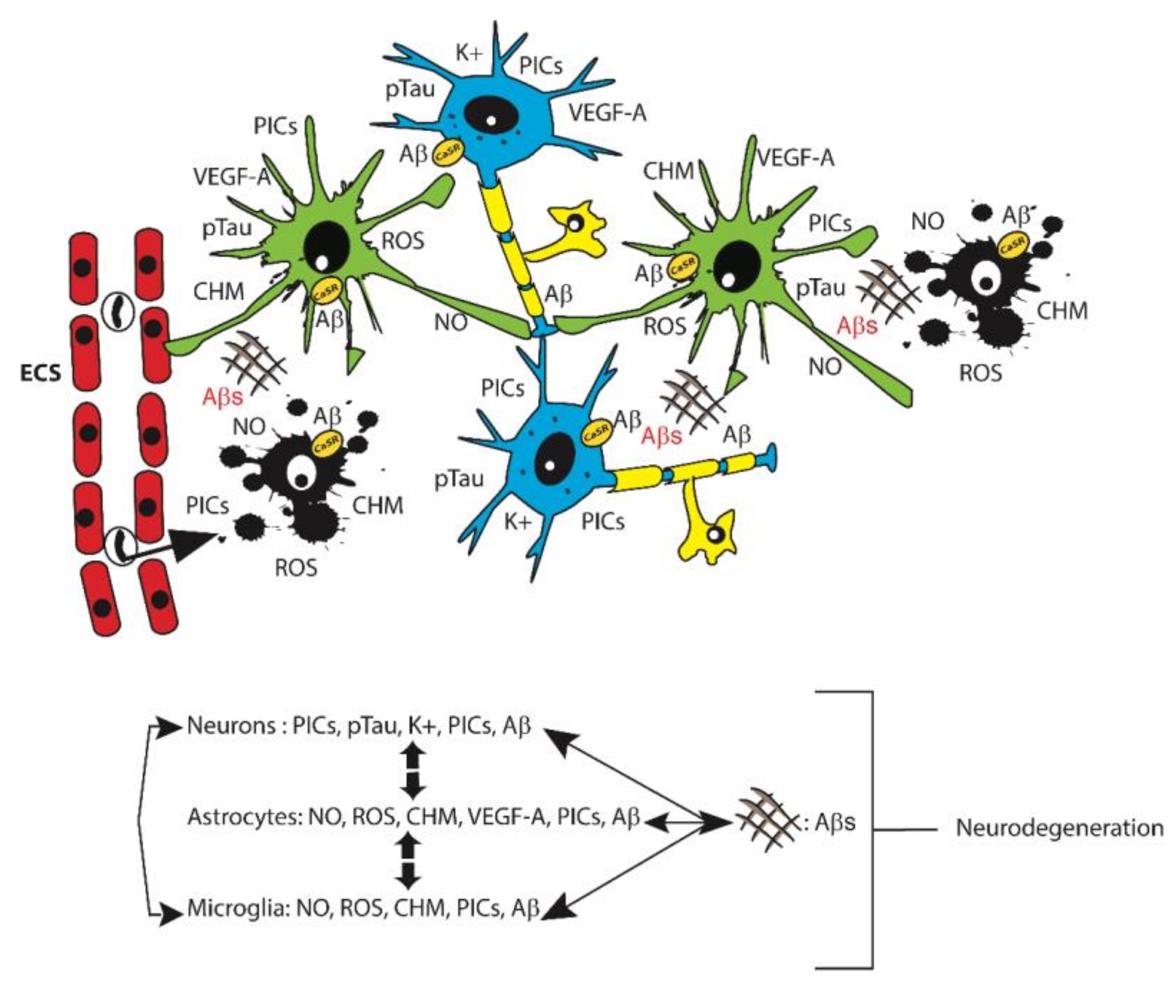Ijms 21 09036 g001 Ijms 21 09036 g001