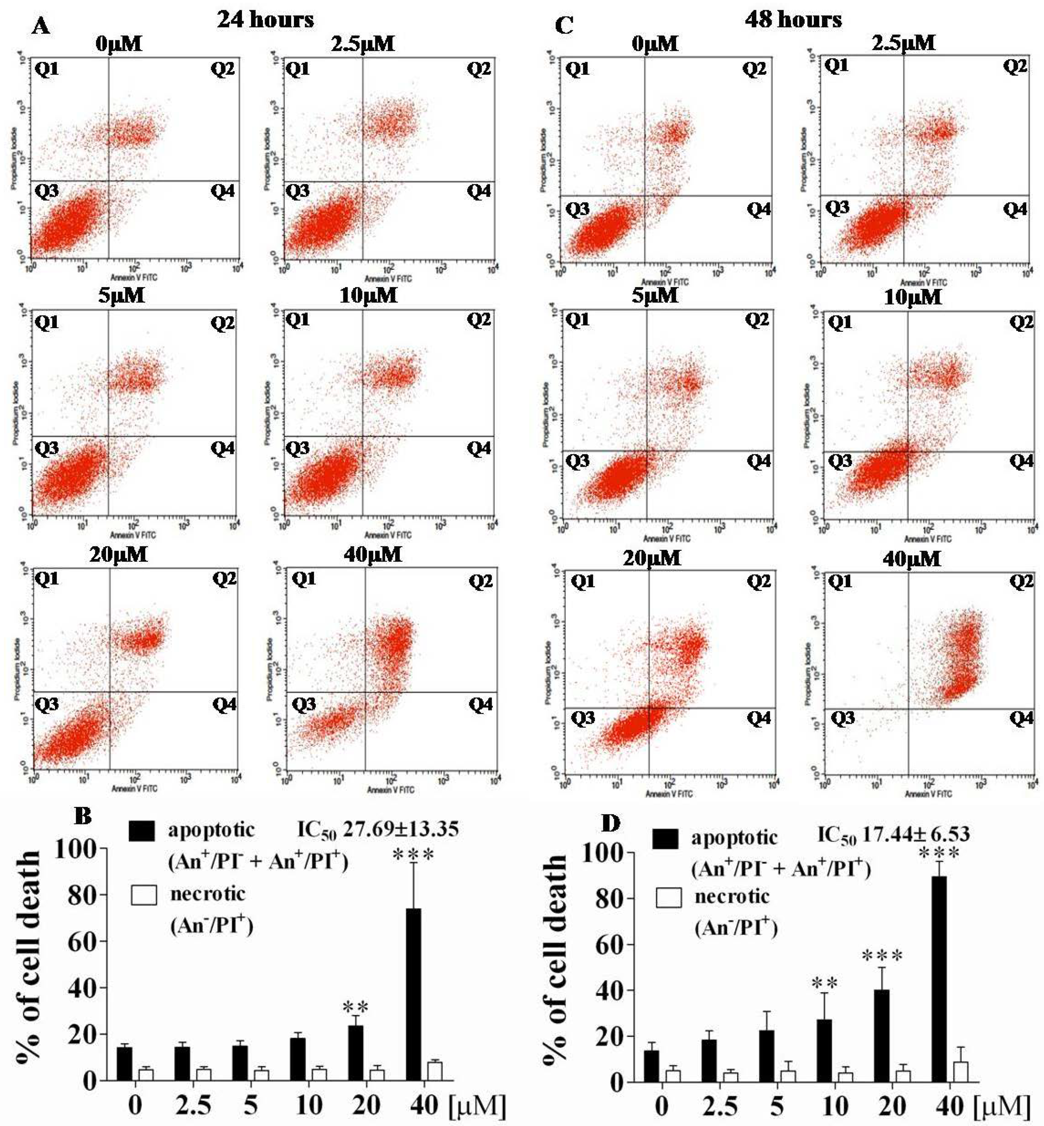 Ijms 21 09050 g007 Ijms 21 09050 g007