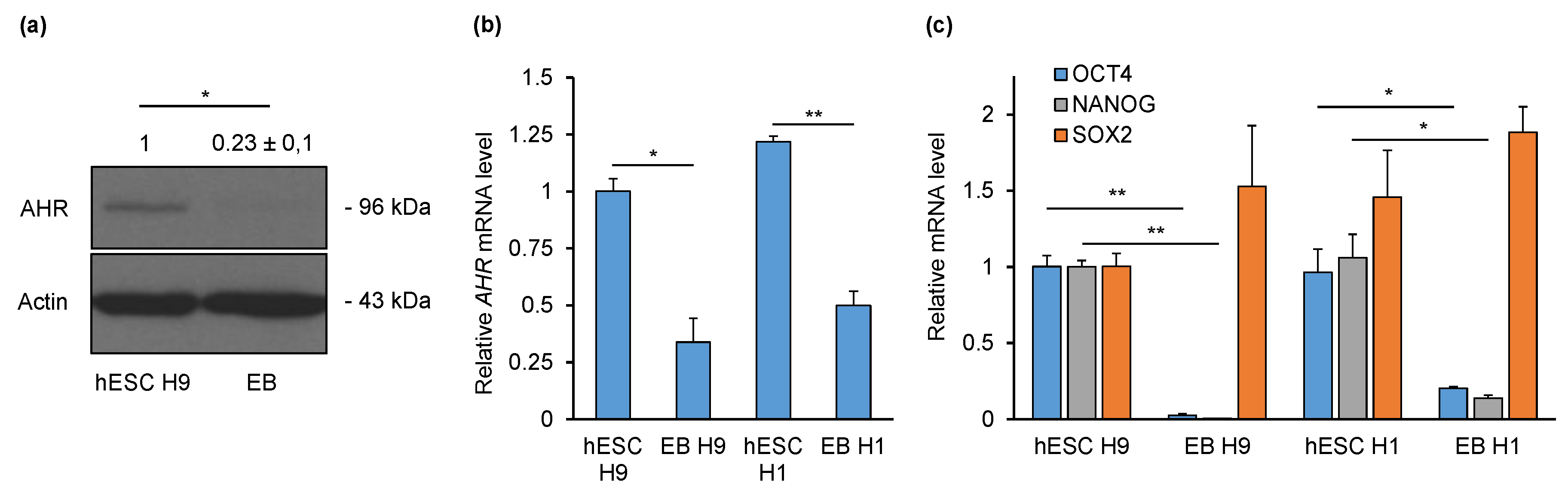 Ijms 21 09052 g001 Ijms 21 09052 g001