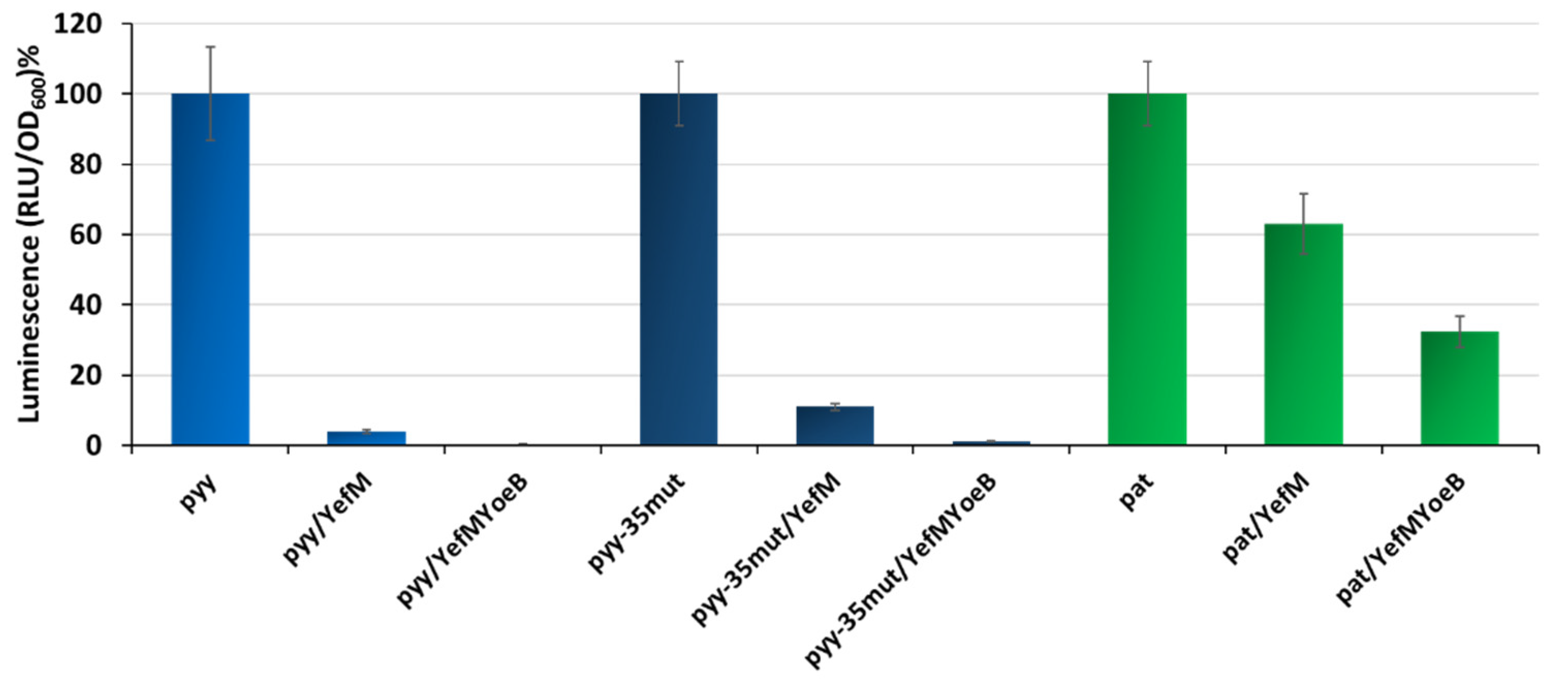 Ijms 21 09062 g005 Ijms 21 09062 g005