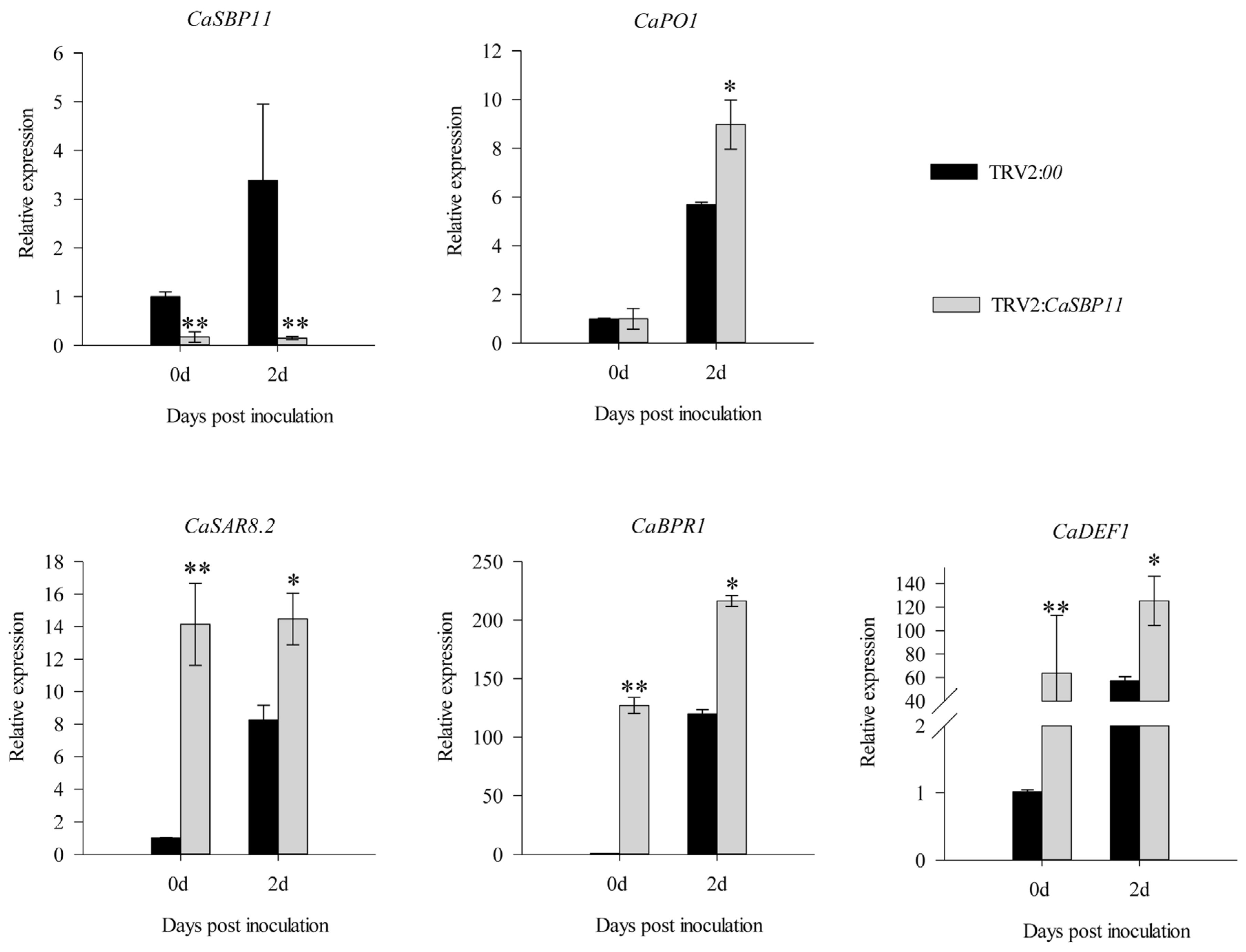 Ijms 21 09065 g005 Ijms 21 09065 g005