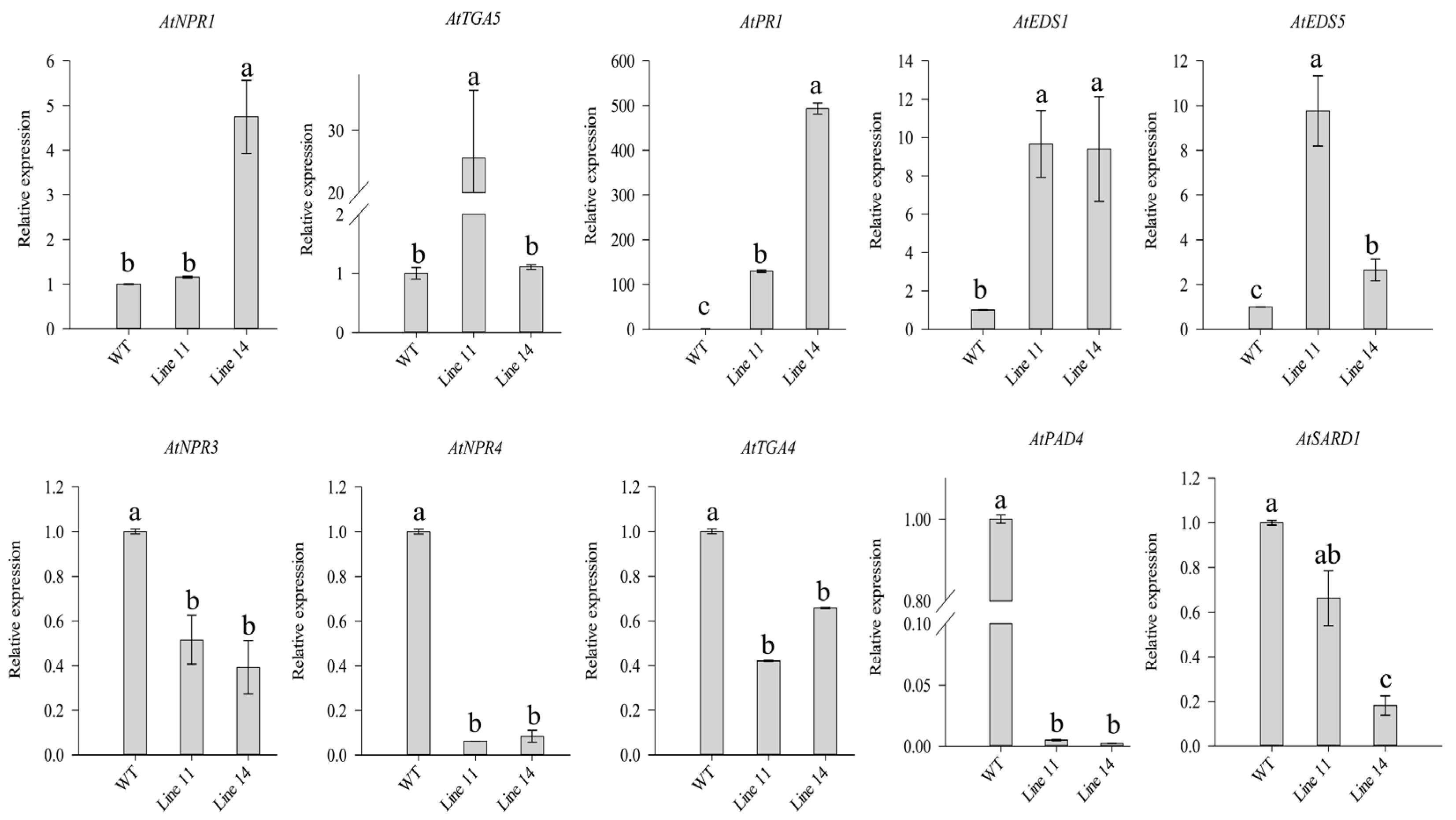 Ijms 21 09065 g008 Ijms 21 09065 g008