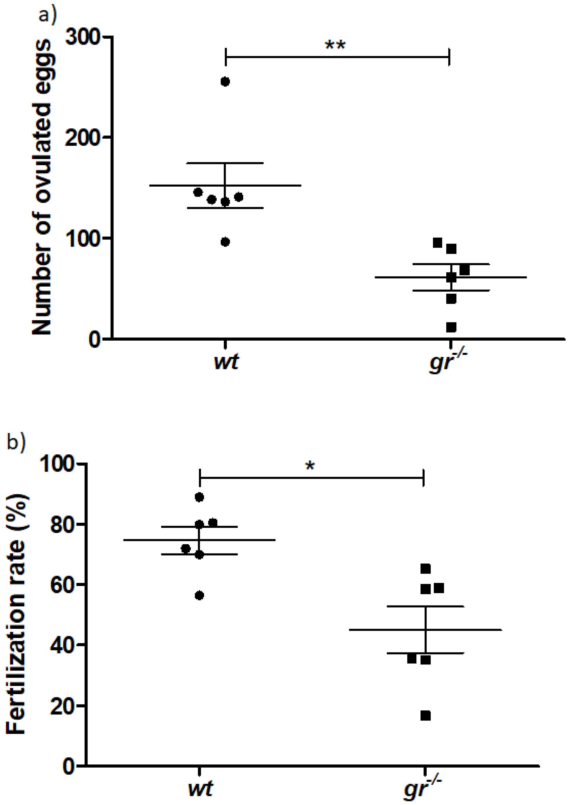 Ijms 21 09073 g002 Ijms 21 09073 g002