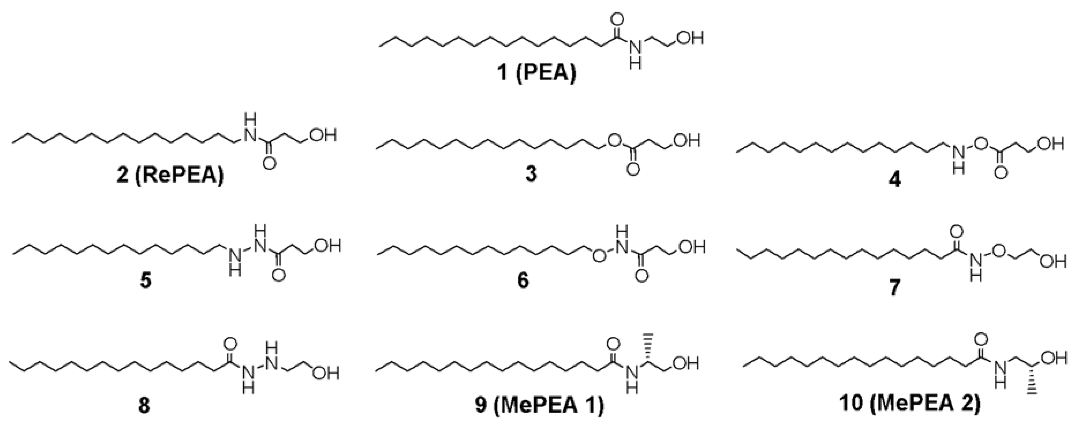 Ijms 21 09074 g001 Ijms 21 09074 g001