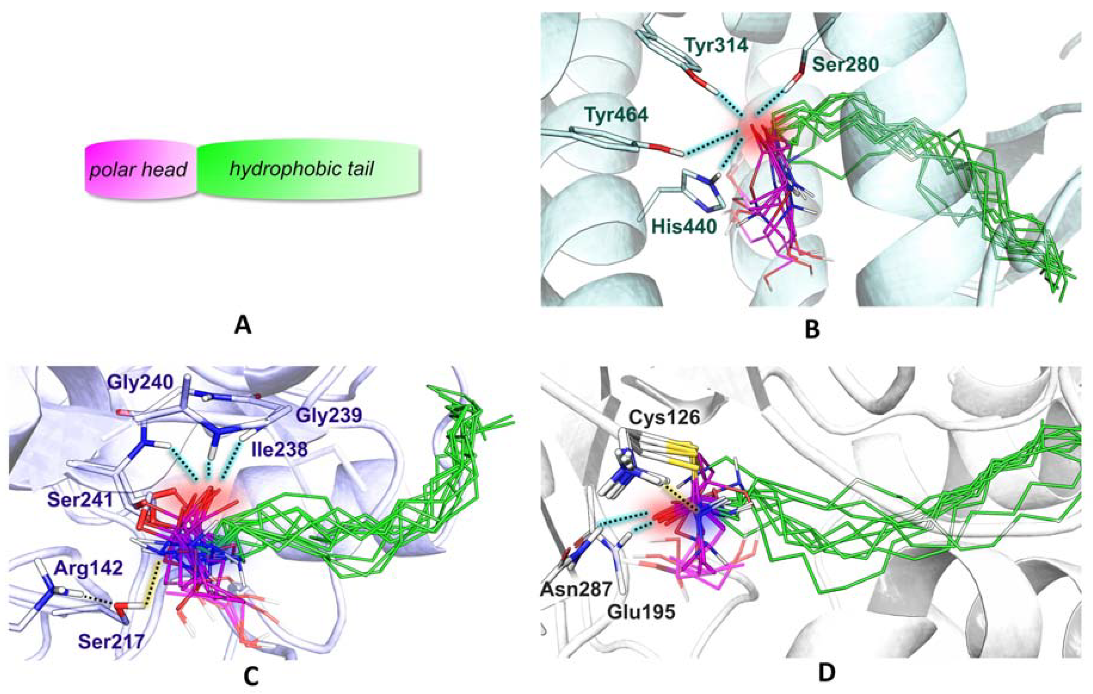 Ijms 21 09074 g002 Ijms 21 09074 g002