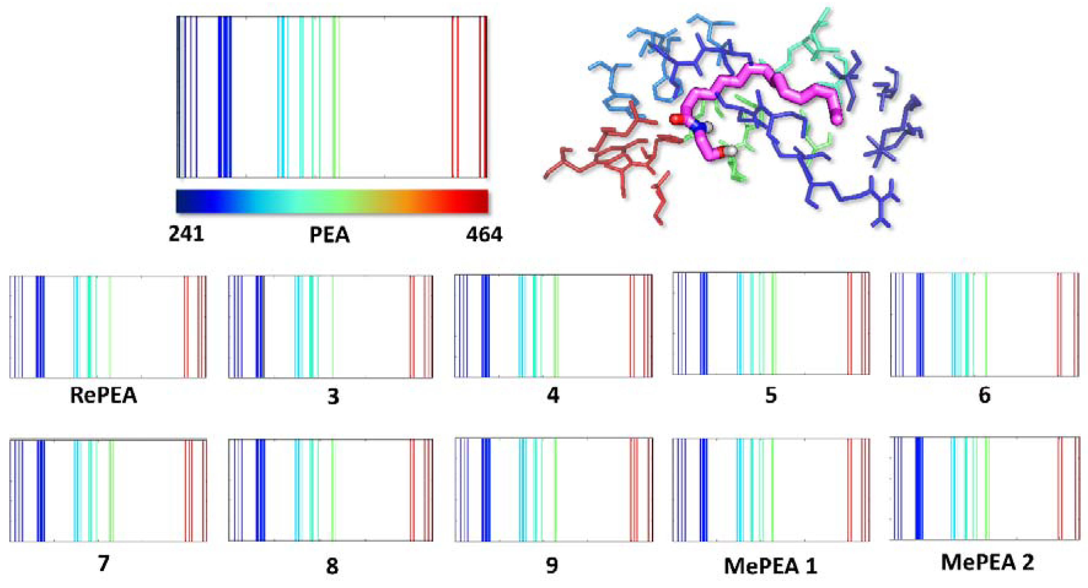 Ijms 21 09074 g003 Ijms 21 09074 g003