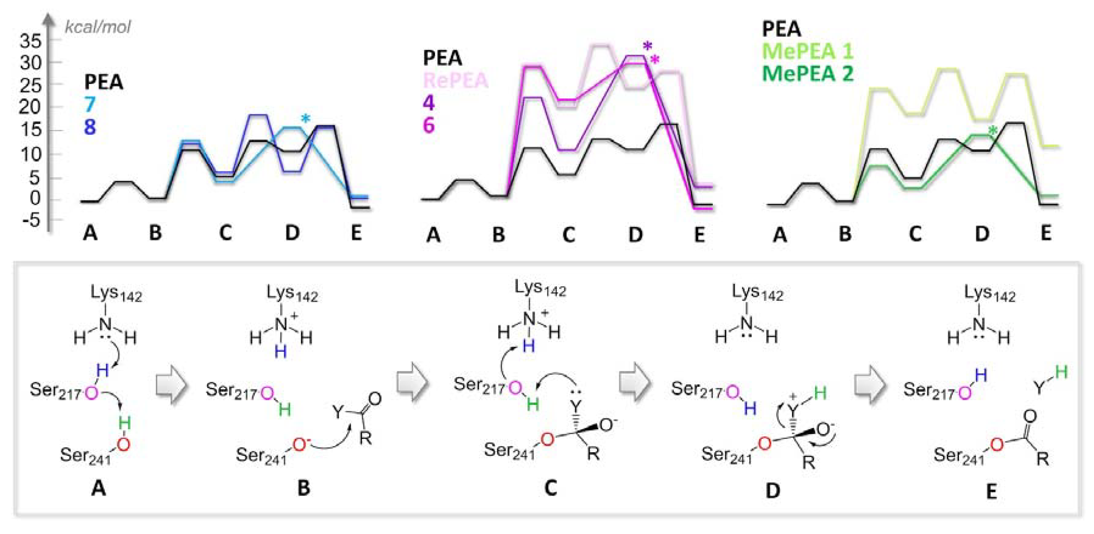 Ijms 21 09074 g004 Ijms 21 09074 g004