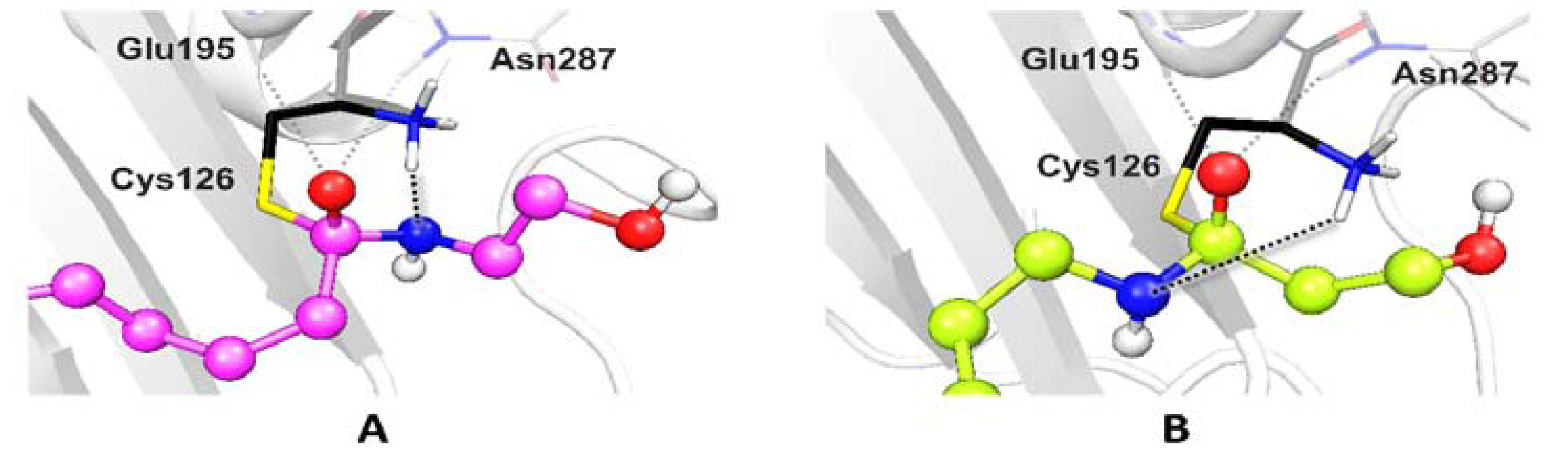 Ijms 21 09074 g005 Ijms 21 09074 g005