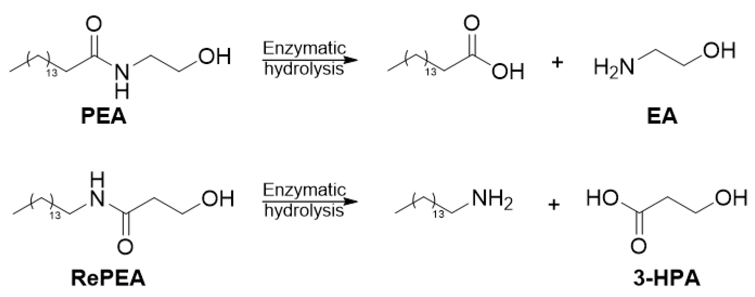 Ijms 21 09074 g006 Ijms 21 09074 g006