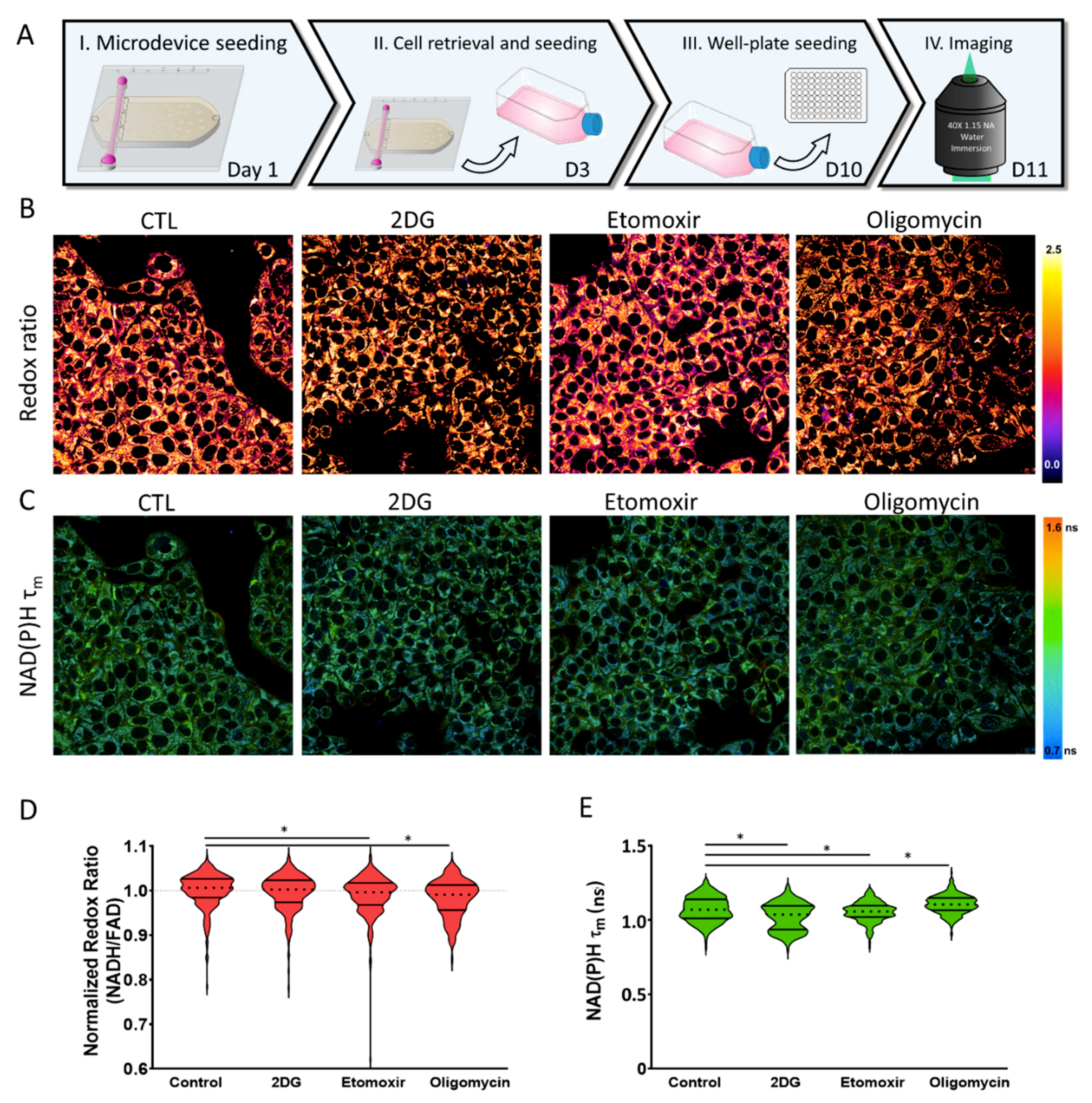 Ijms 21 09075 g007 Ijms 21 09075 g007
