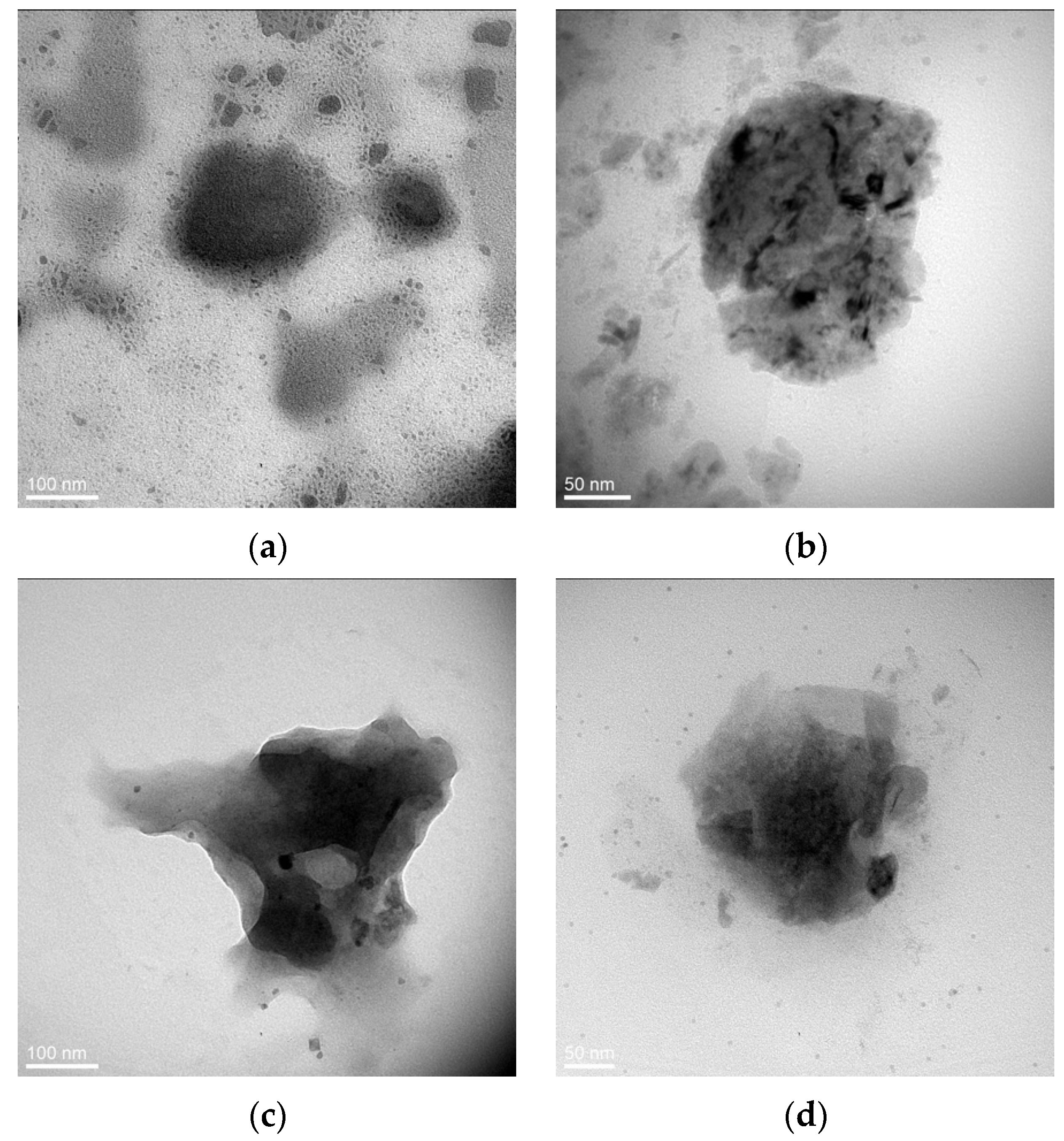 Ijms 21 09079 g003 Ijms 21 09079 g003