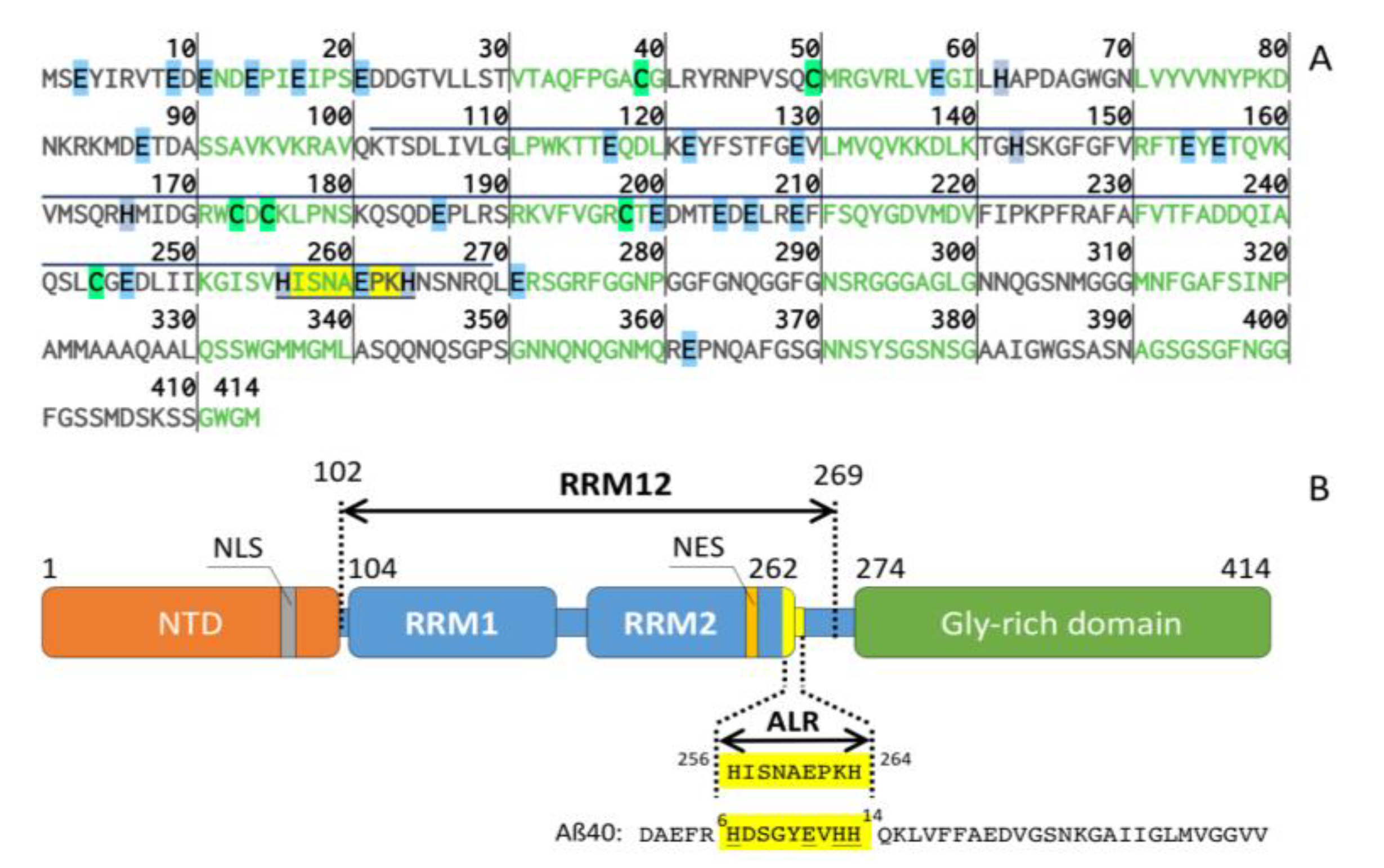 Ijms 21 09080 g001 Ijms 21 09080 g001