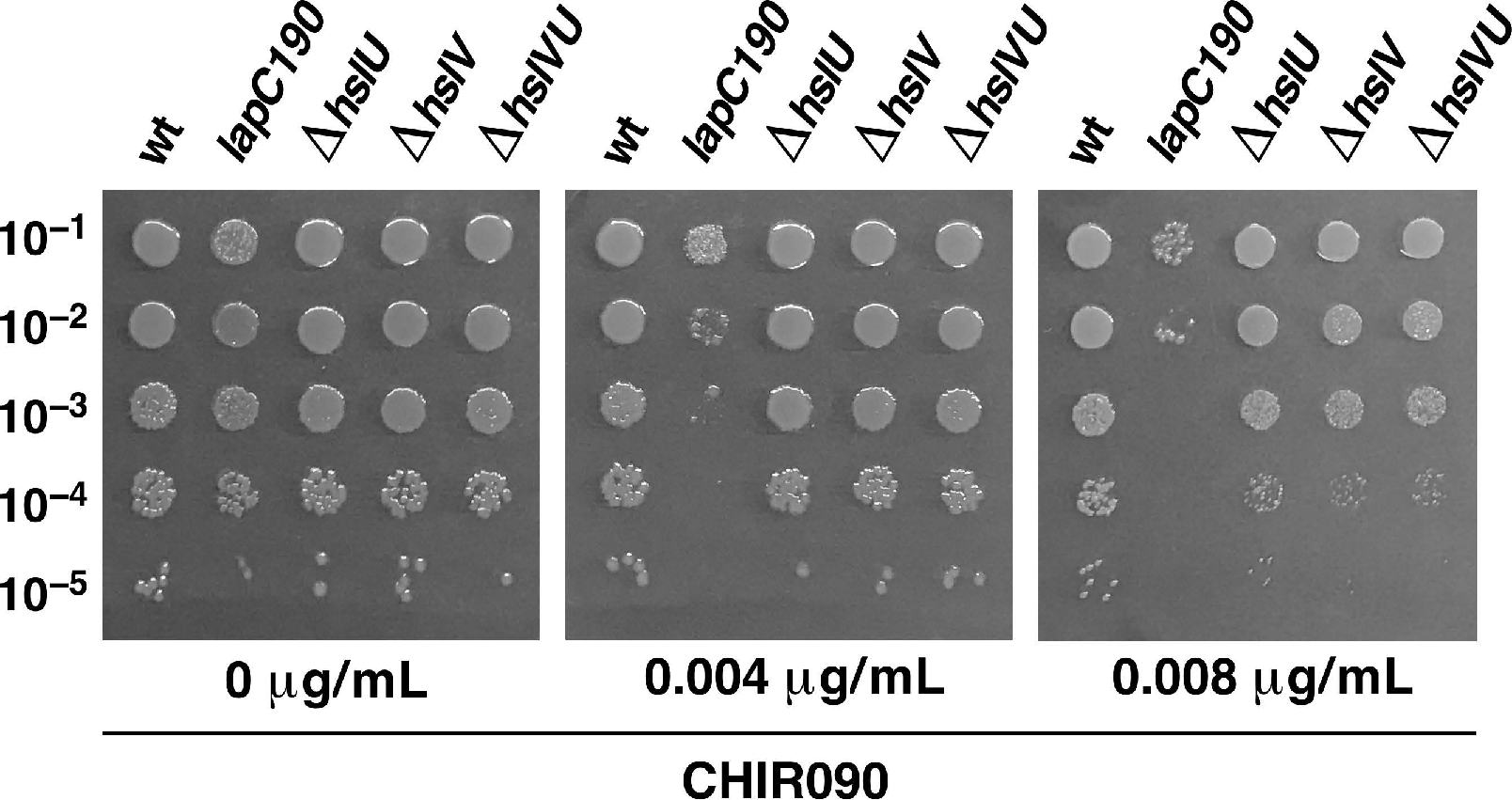 Ijms 21 09088 g004 Ijms 21 09088 g004