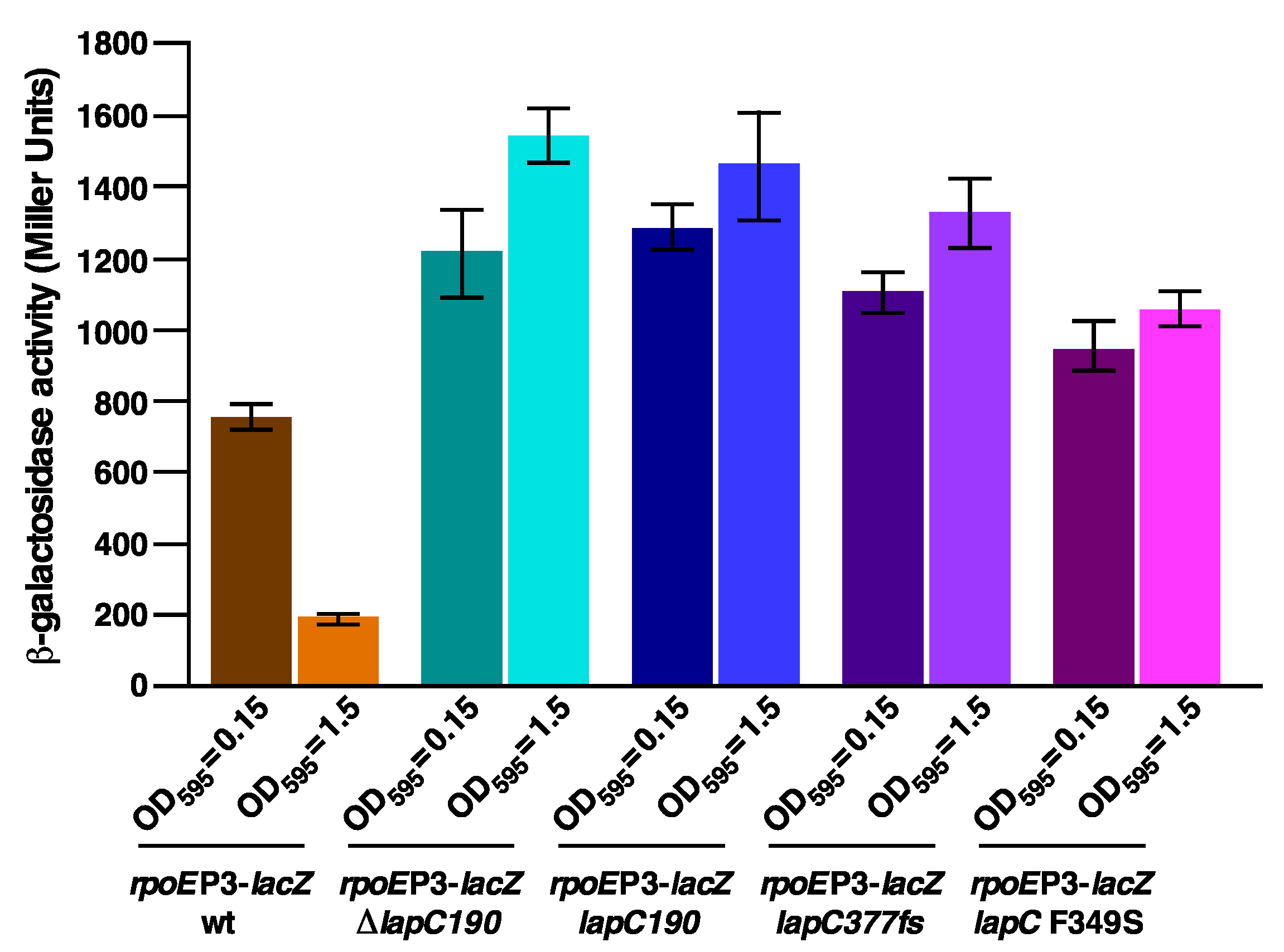 Ijms 21 09088 g008 Ijms 21 09088 g008