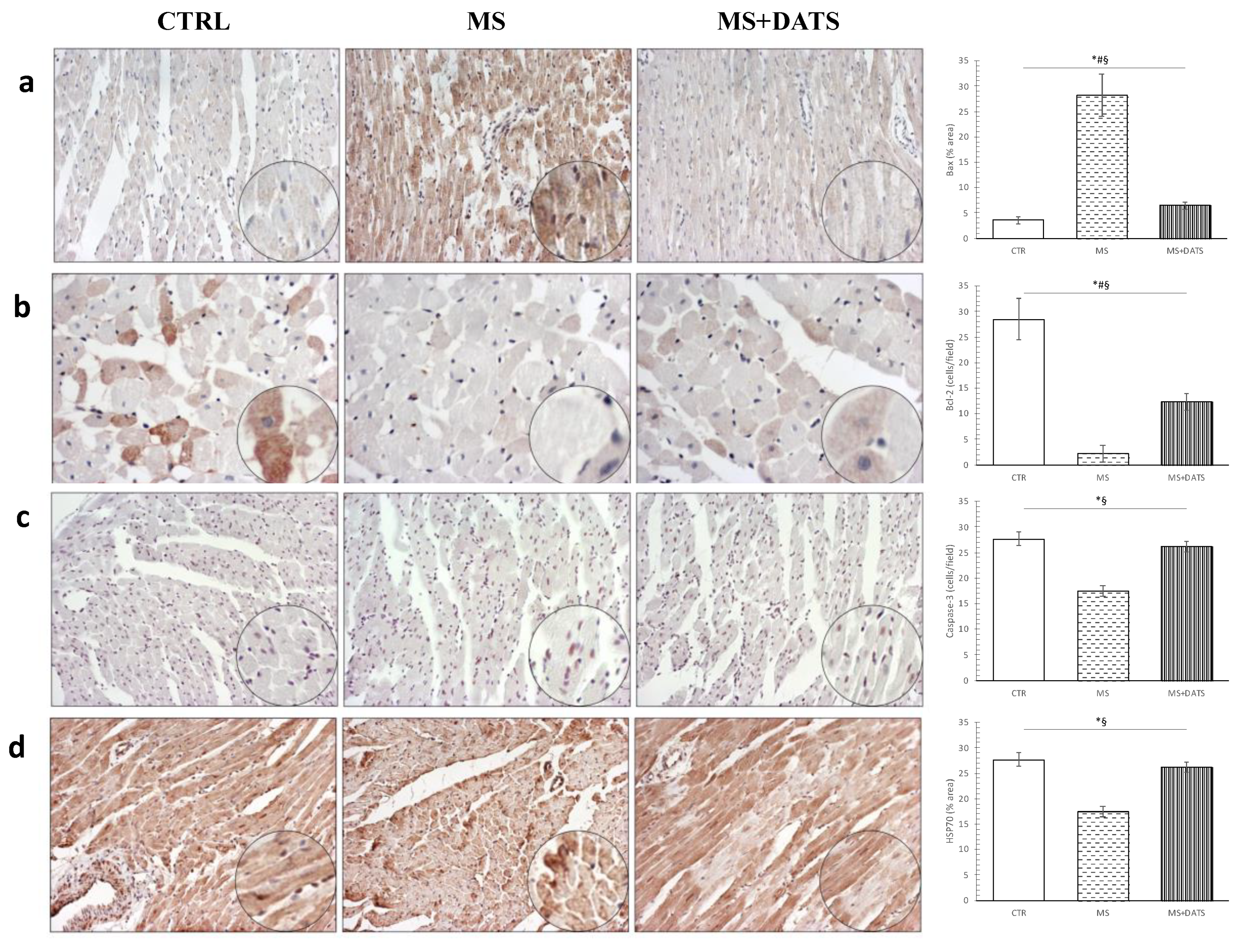 Ijms 21 09100 g008 Ijms 21 09100 g008