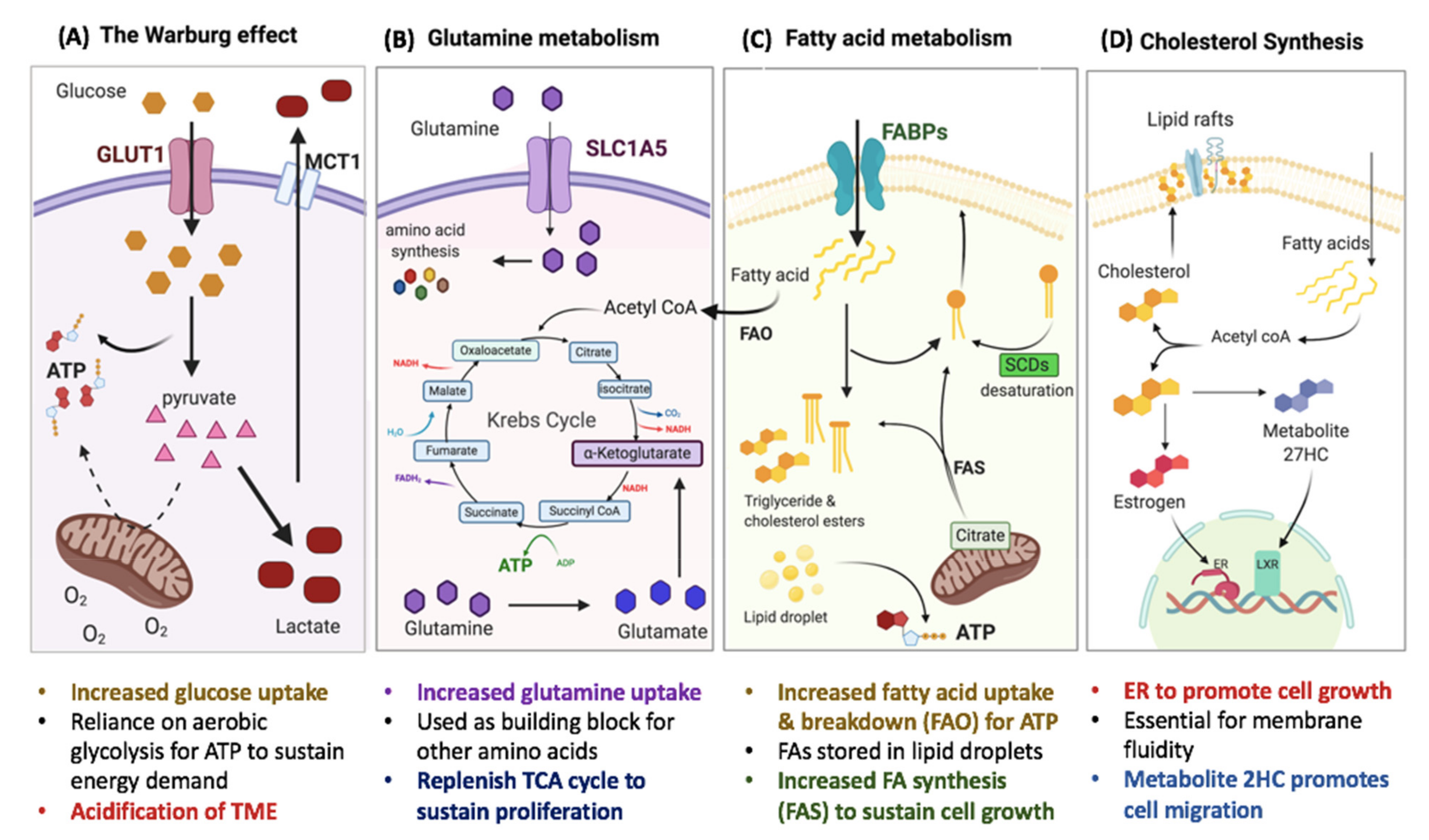 Ijms 21 09125 g001 Ijms 21 09125 g001