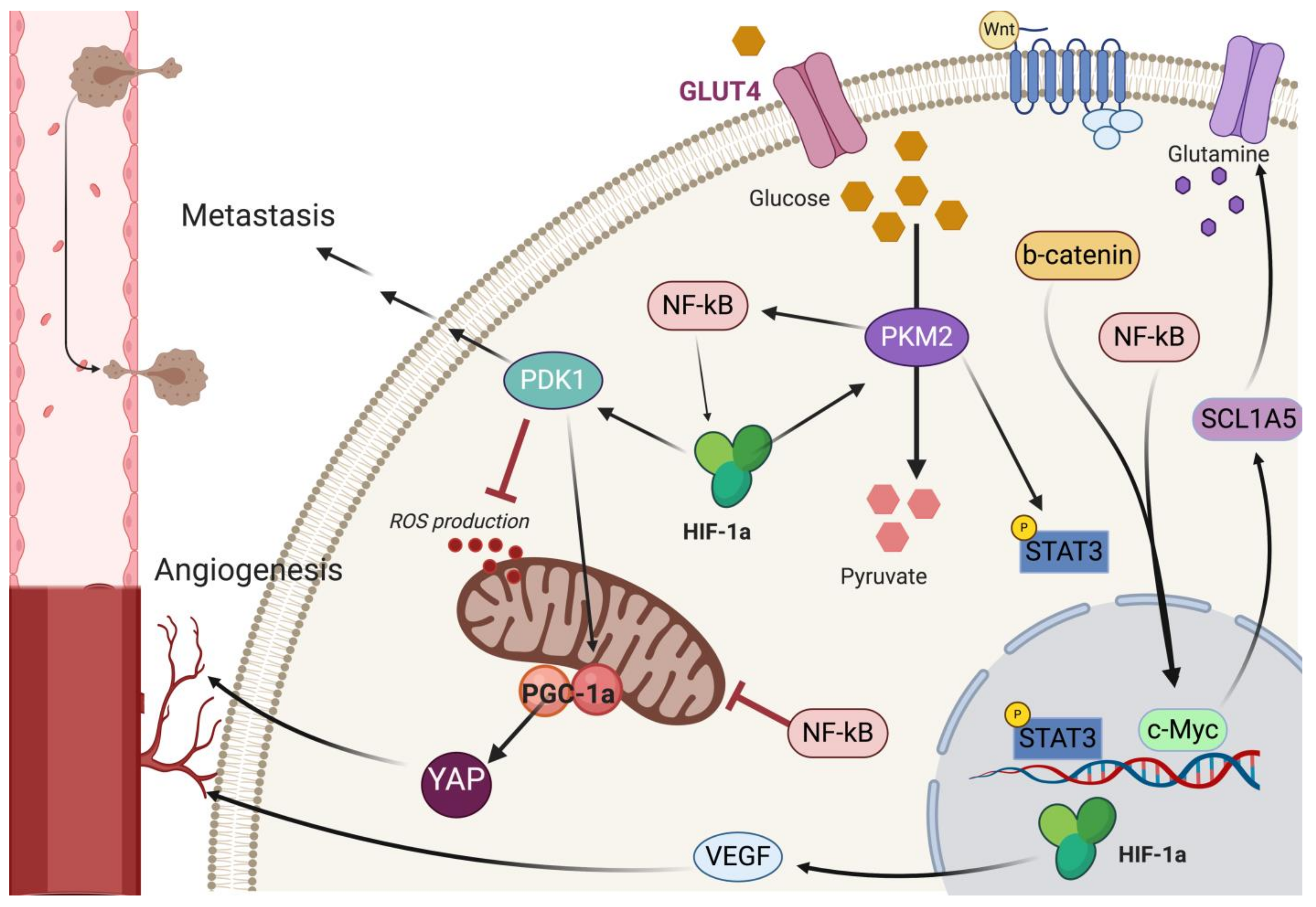 Ijms 21 09125 g002 Ijms 21 09125 g002