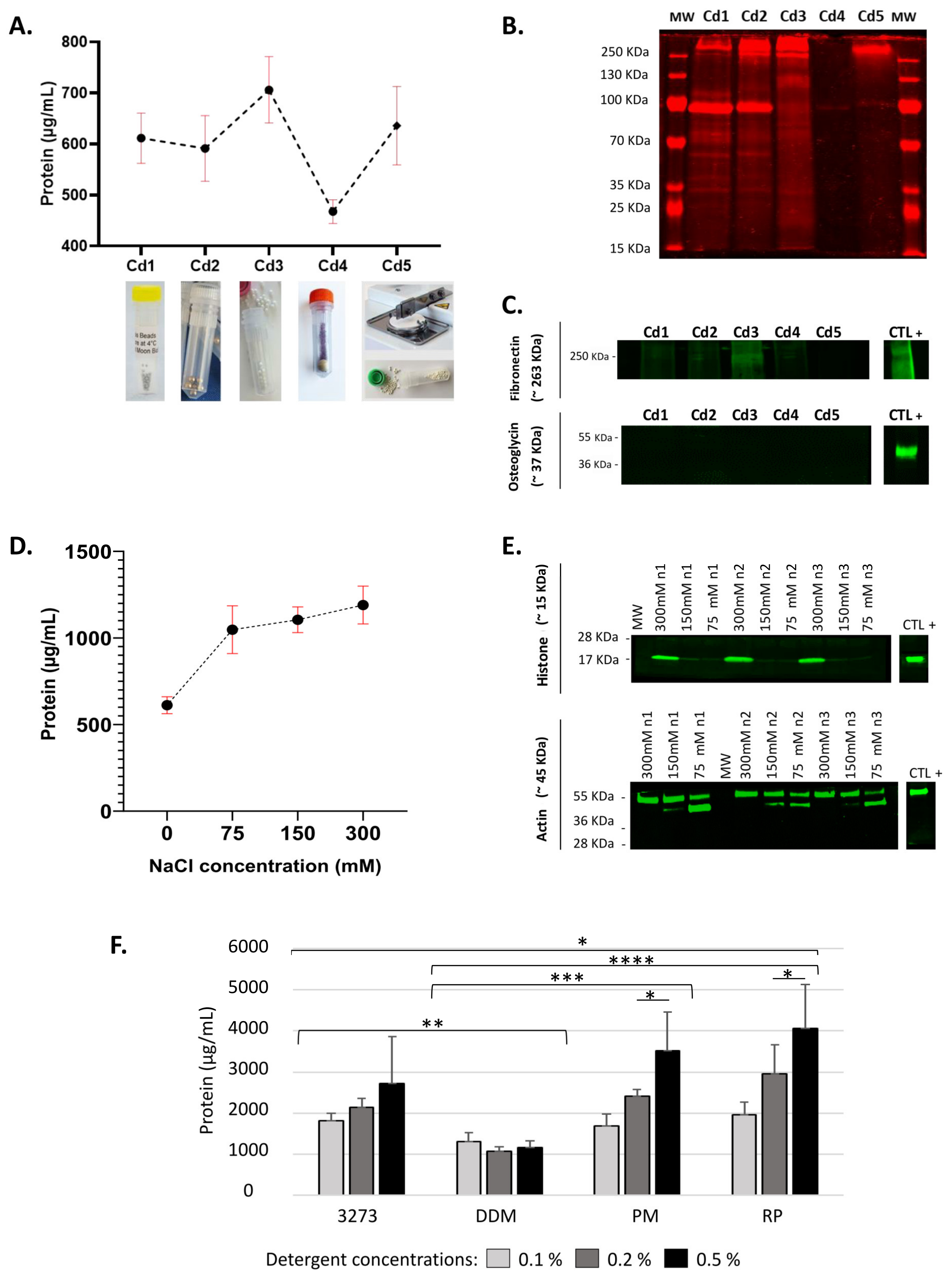 Ijms 21 09141 g001 Ijms 21 09141 g001