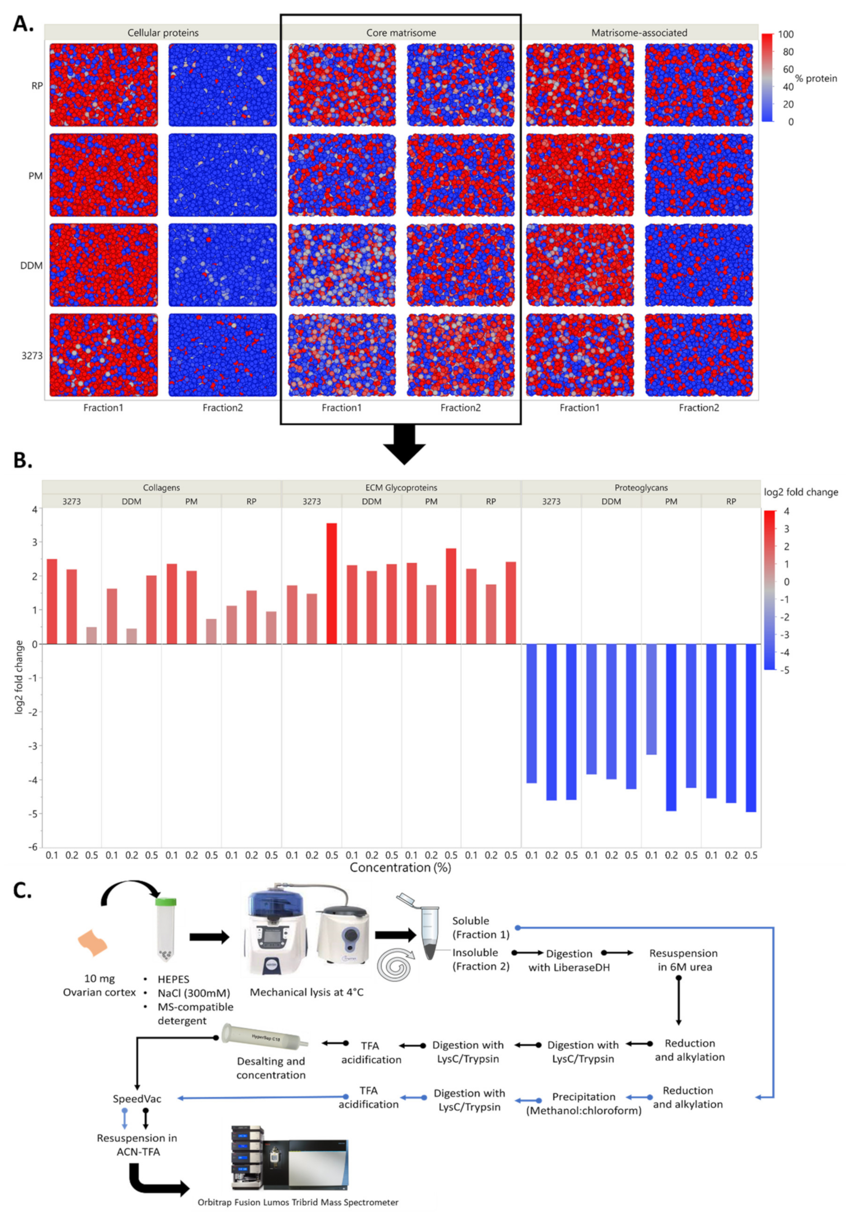 Ijms 21 09141 g002 Ijms 21 09141 g002