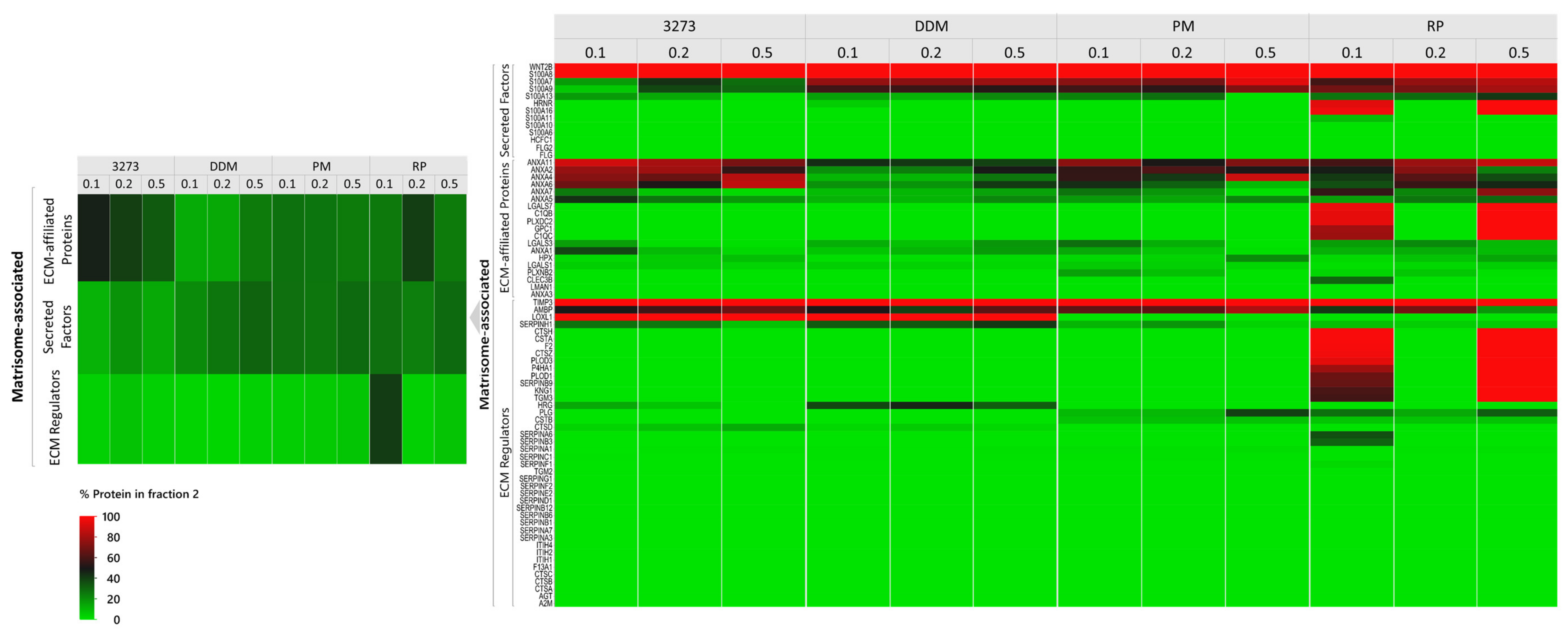 Ijms 21 09141 g003b Ijms 21 09141 g003b