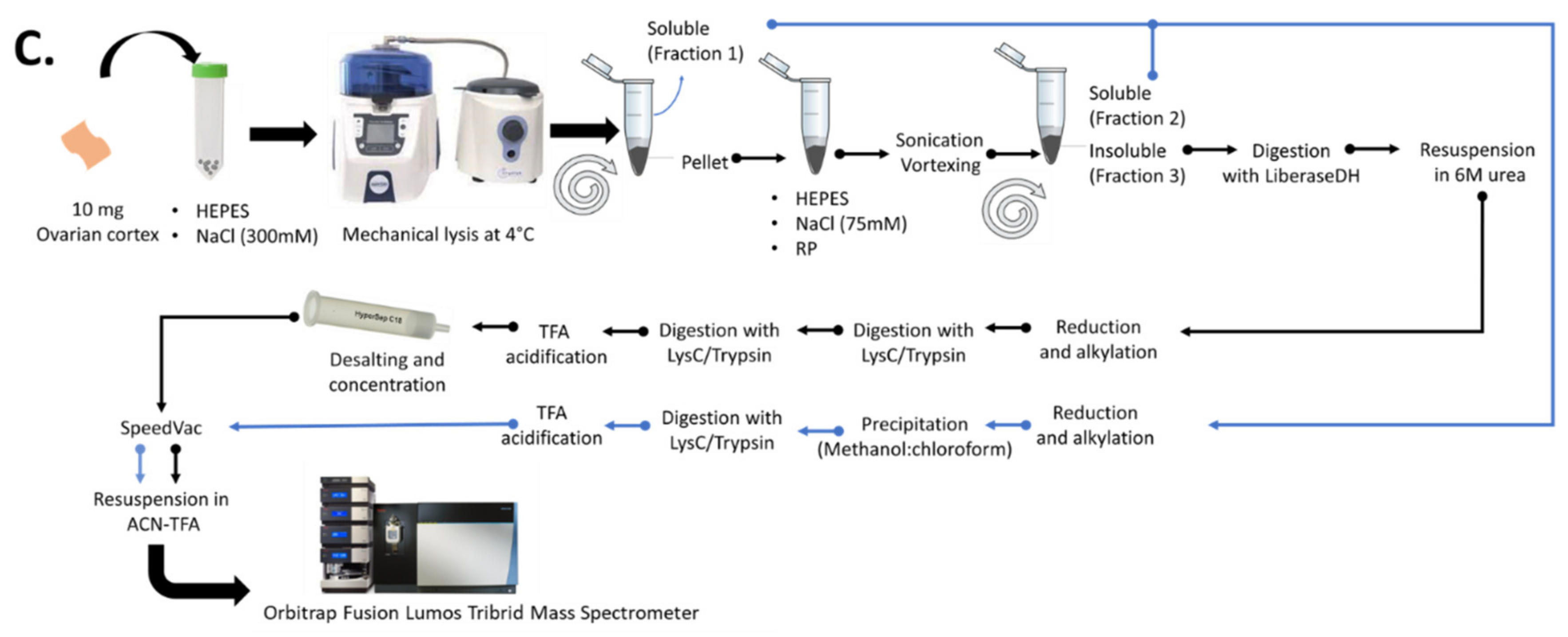Ijms 21 09141 g005b Ijms 21 09141 g005b