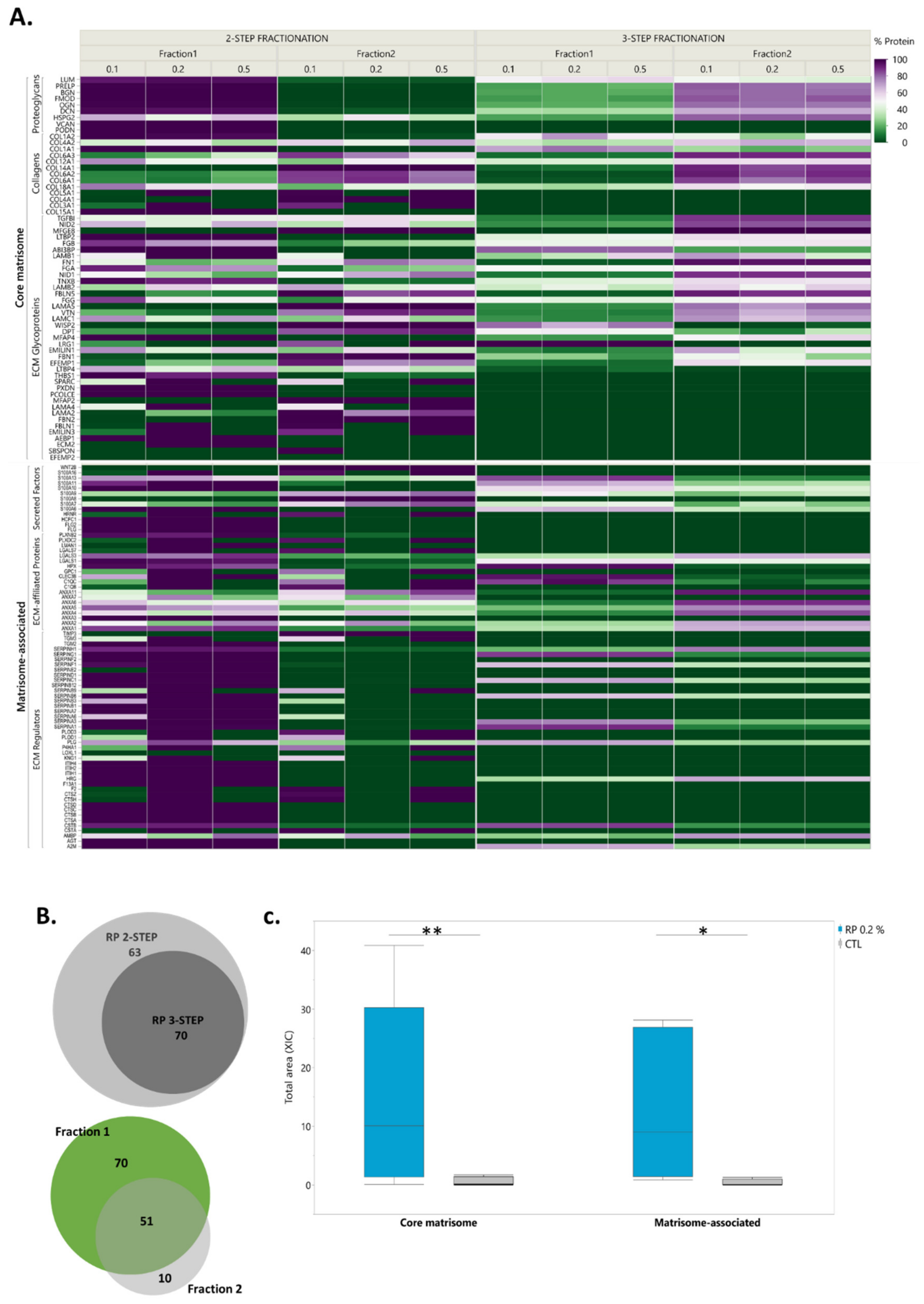 Ijms 21 09141 g006 Ijms 21 09141 g006