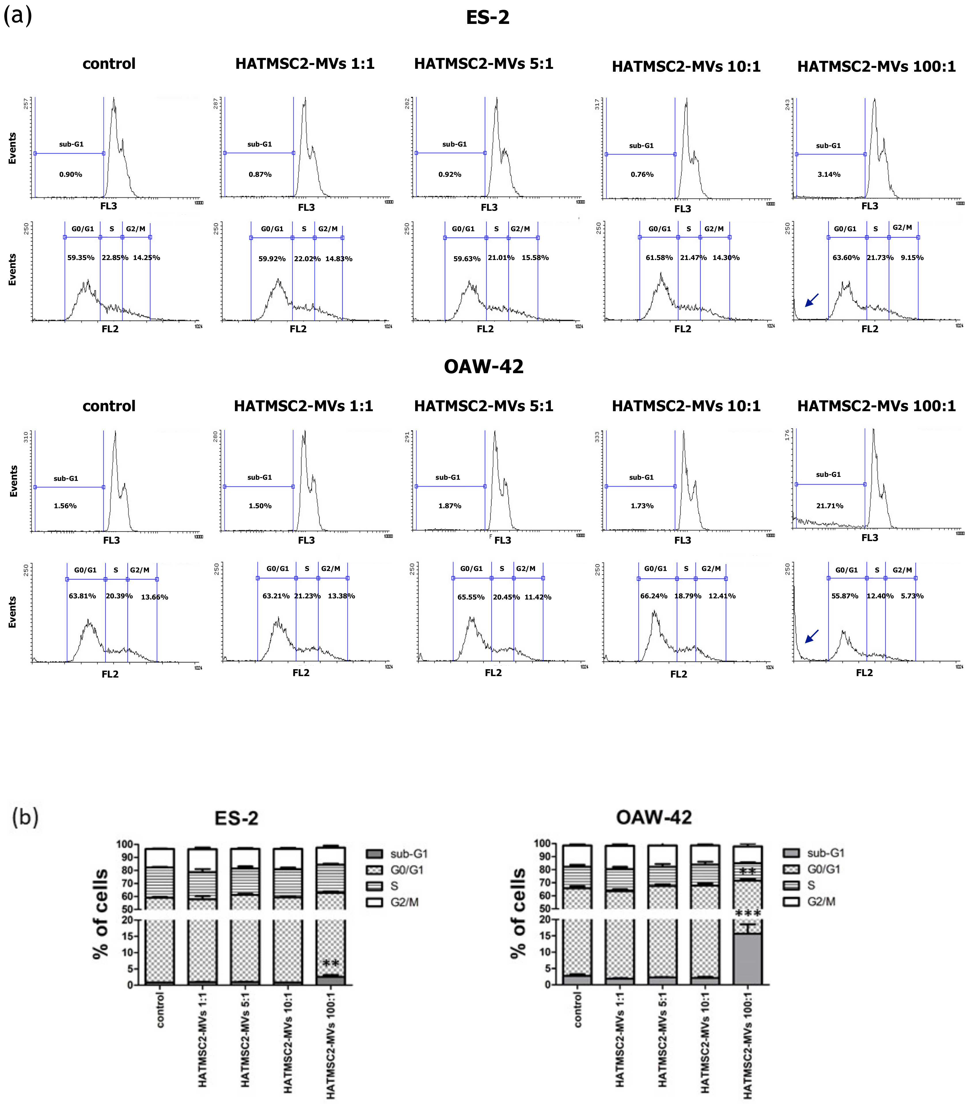 Ijms 21 09143 g005 Ijms 21 09143 g005