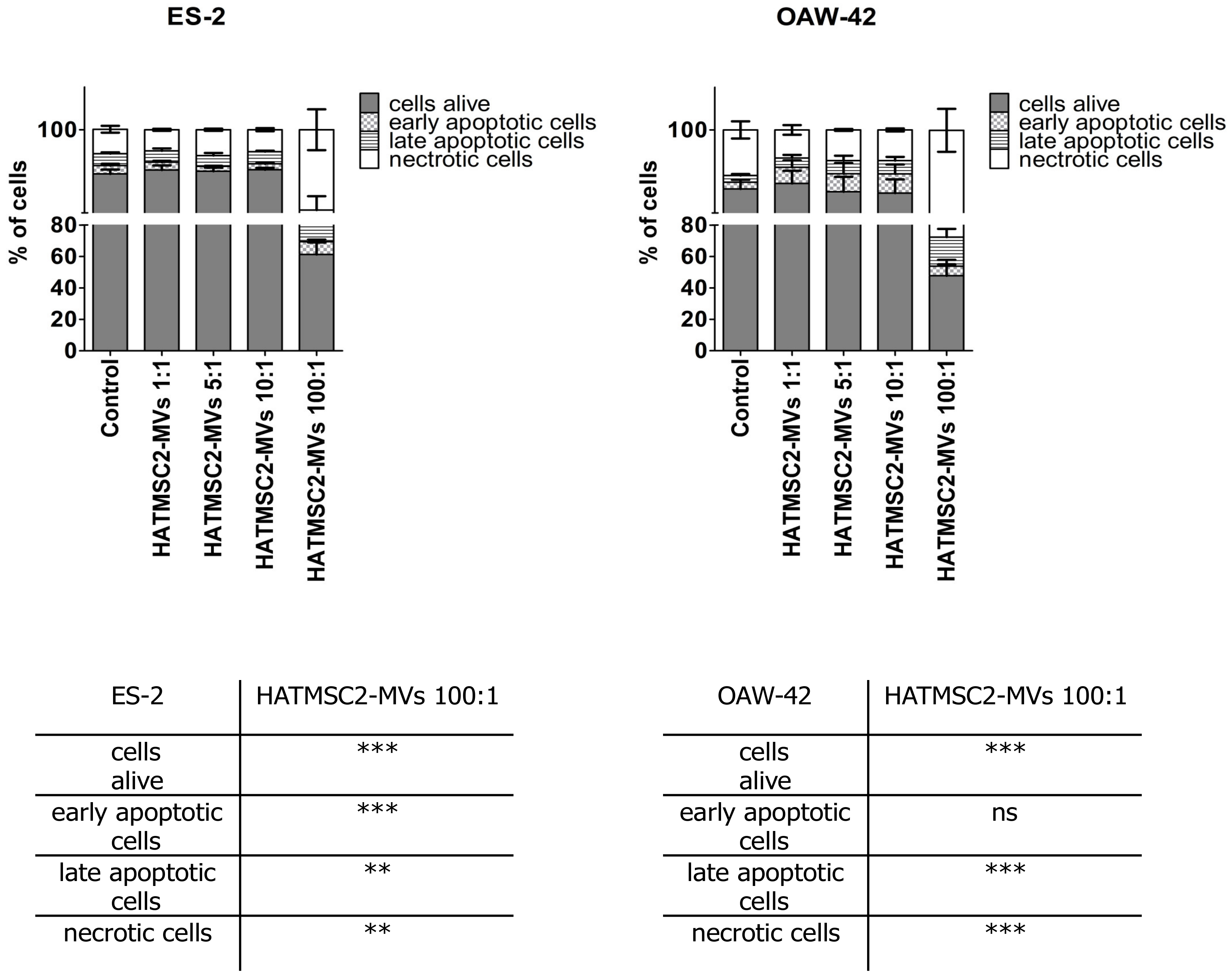 Ijms 21 09143 g006 Ijms 21 09143 g006