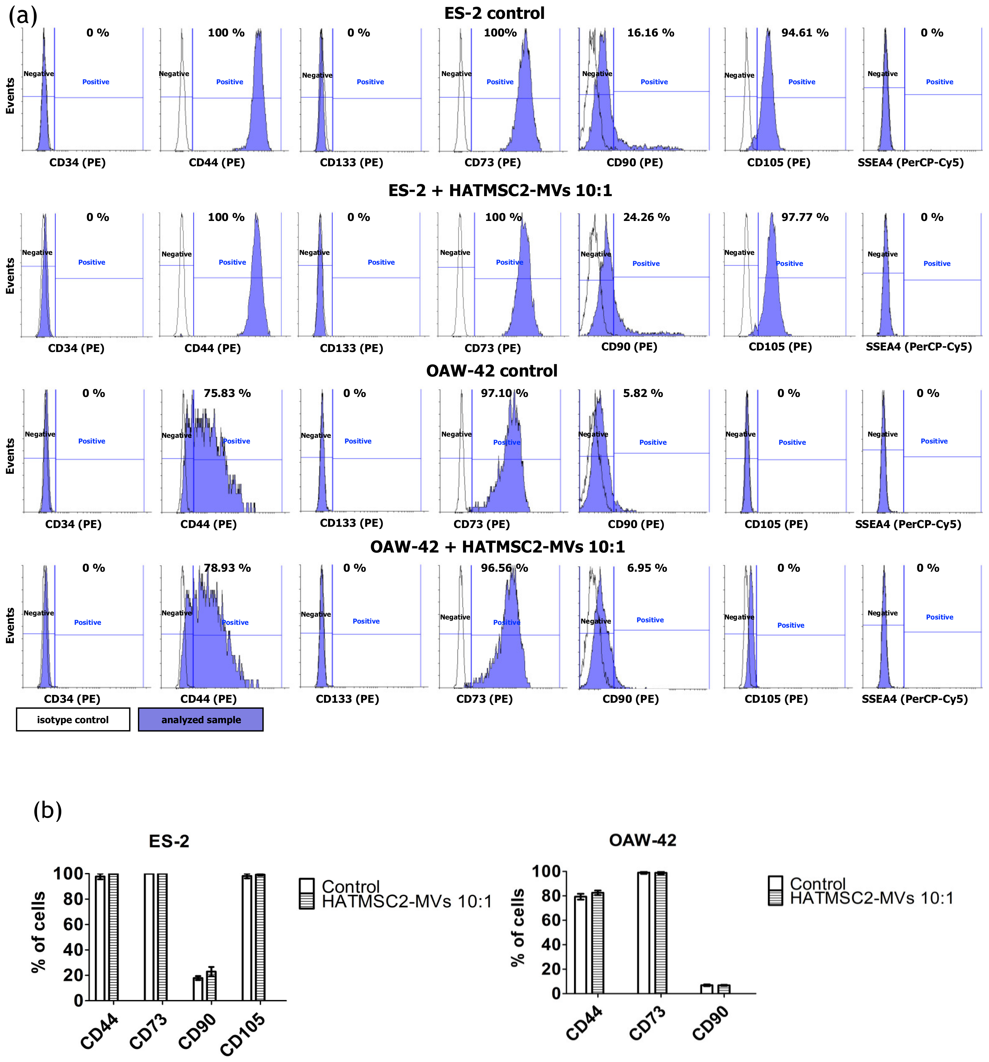 Ijms 21 09143 g007 Ijms 21 09143 g007