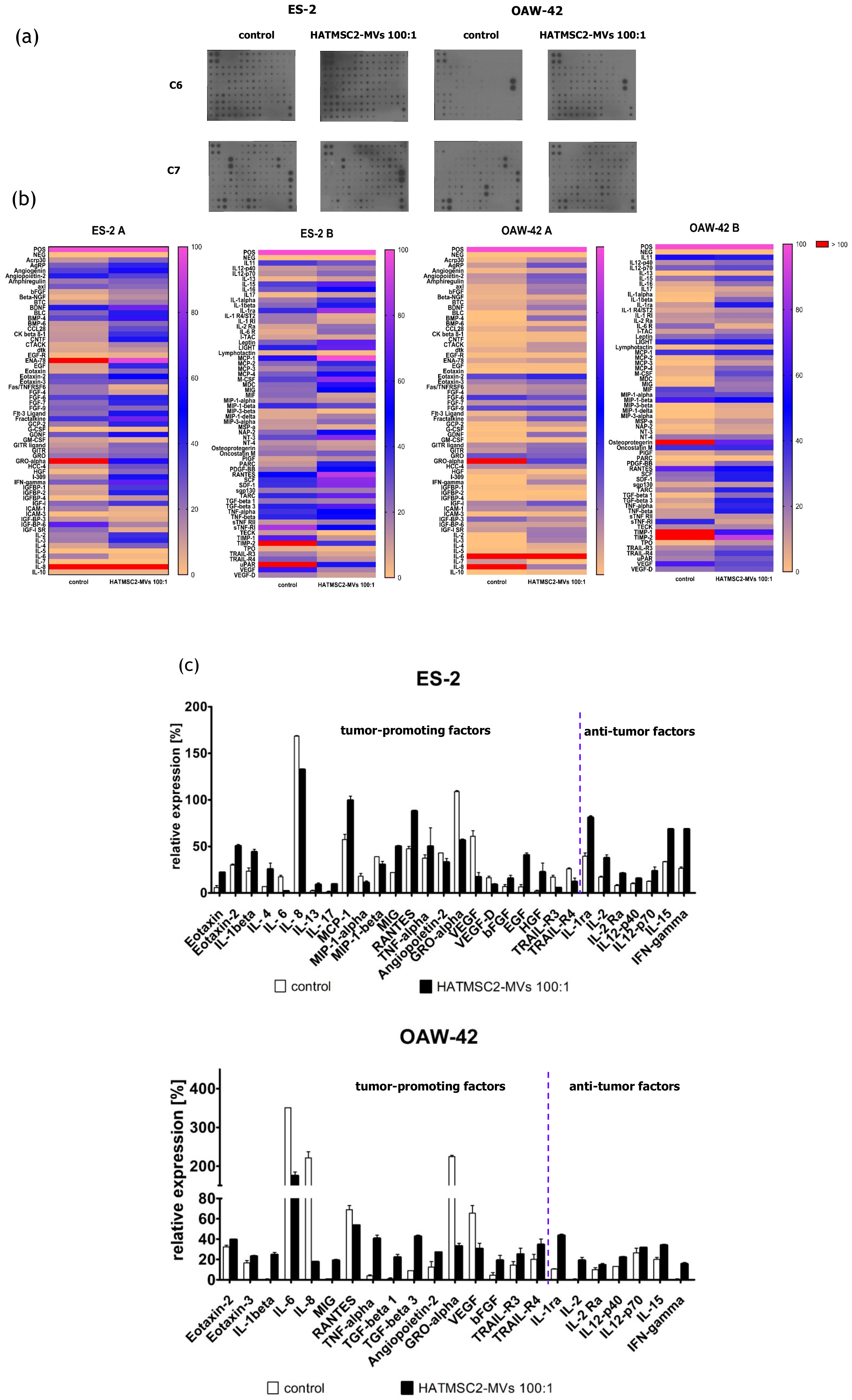 Ijms 21 09143 g008 Ijms 21 09143 g008
