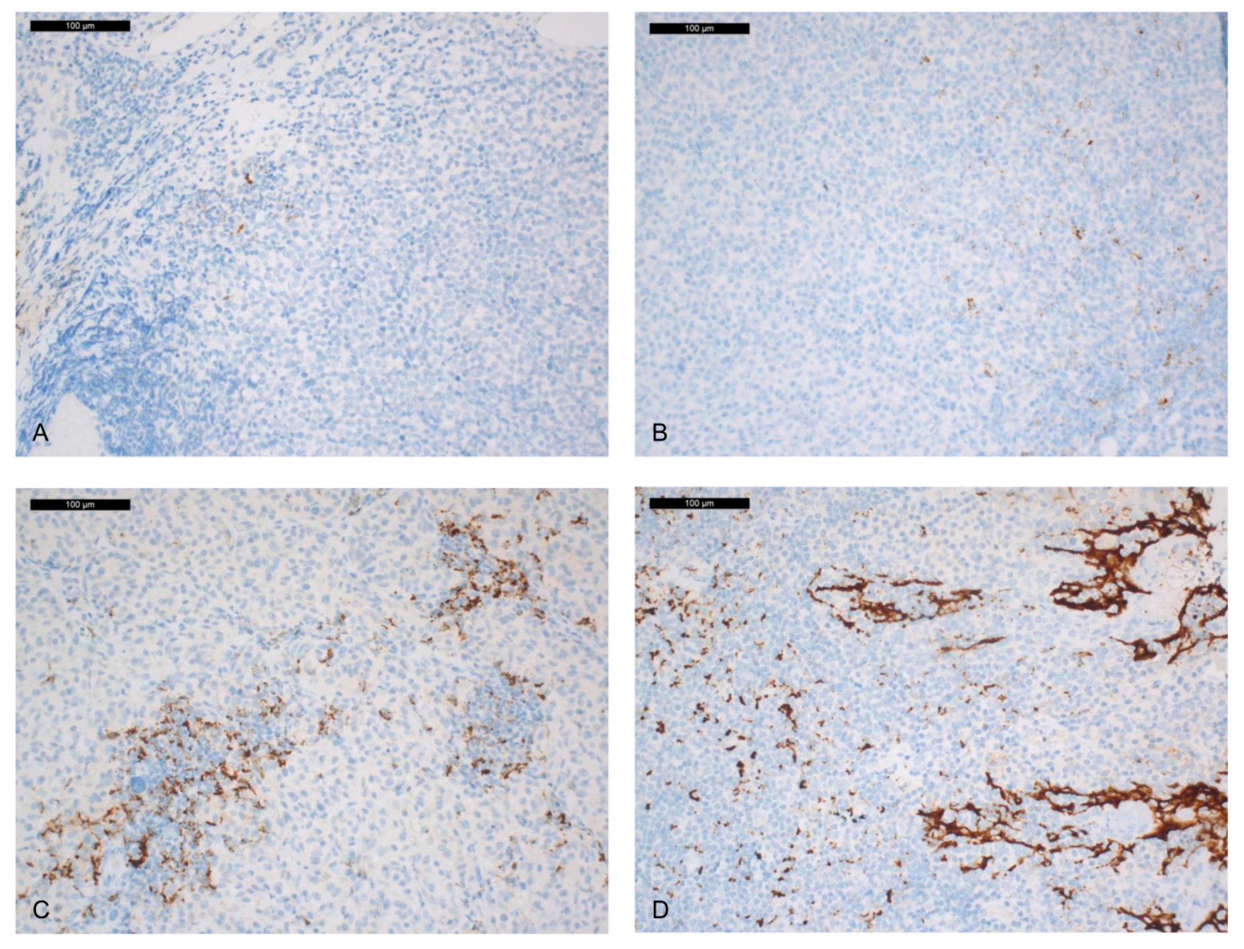 Ijms 21 09147 g001 Ijms 21 09147 g001