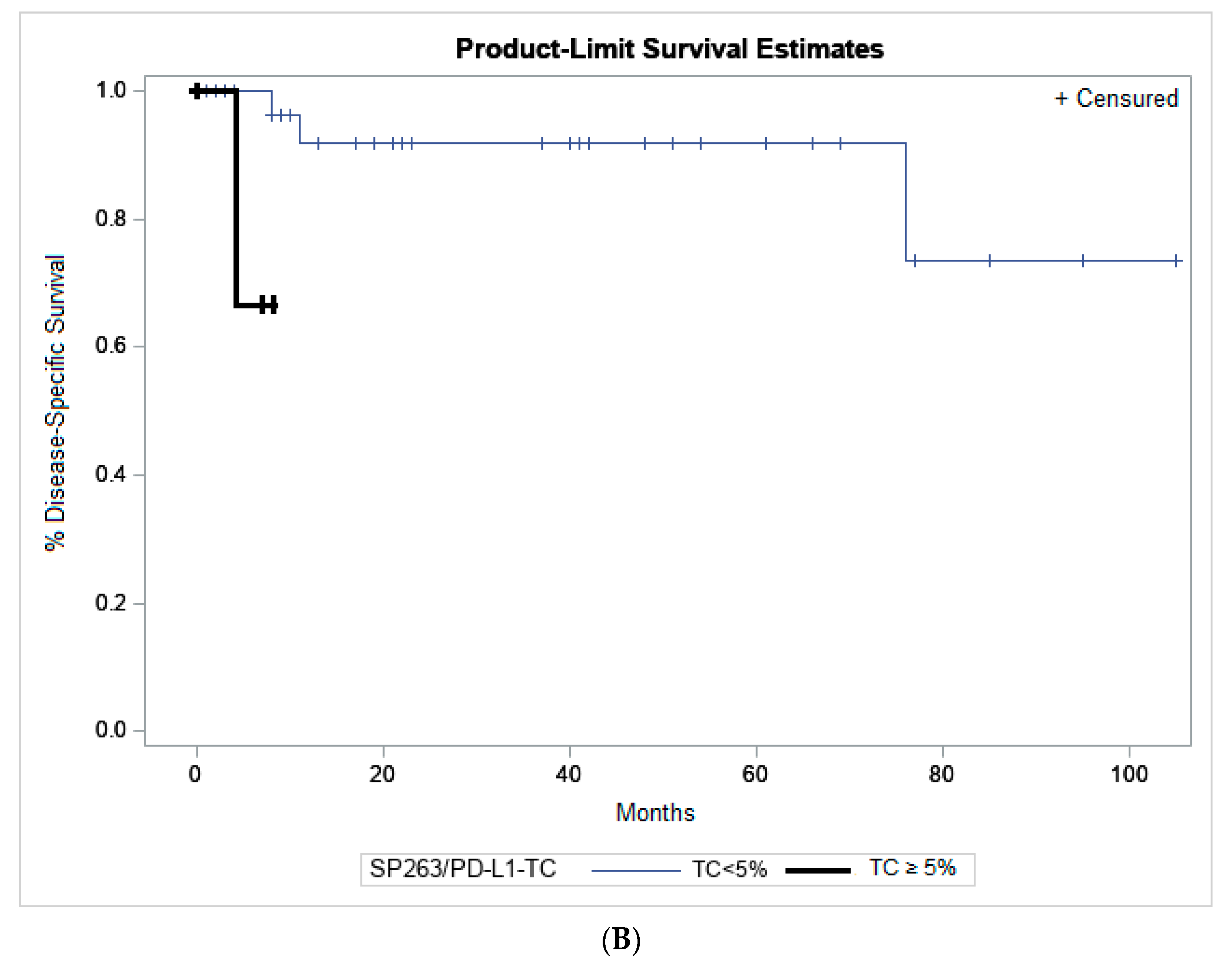 Ijms 21 09147 g003b Ijms 21 09147 g003b