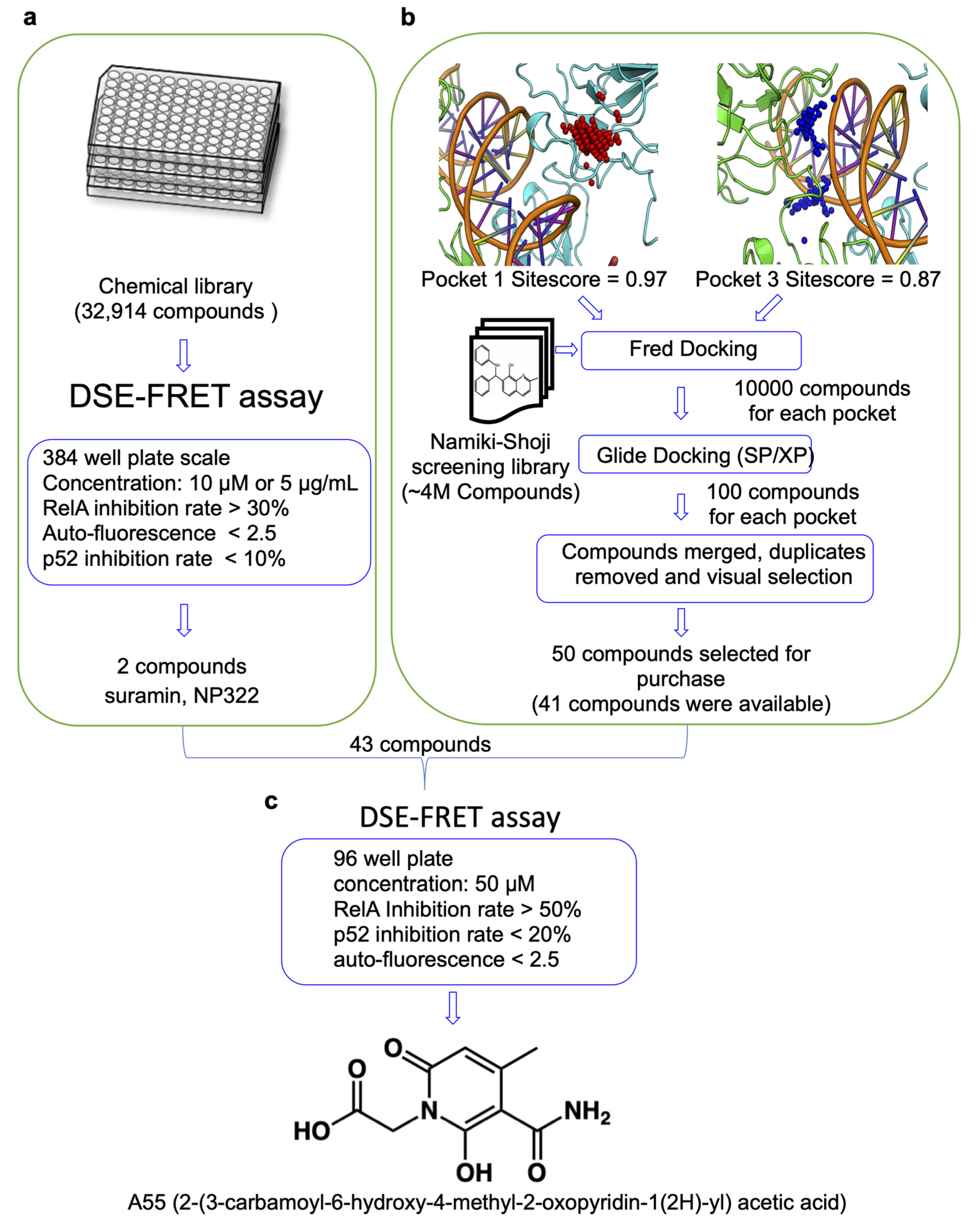 Ijms 21 09150 g001 Ijms 21 09150 g001