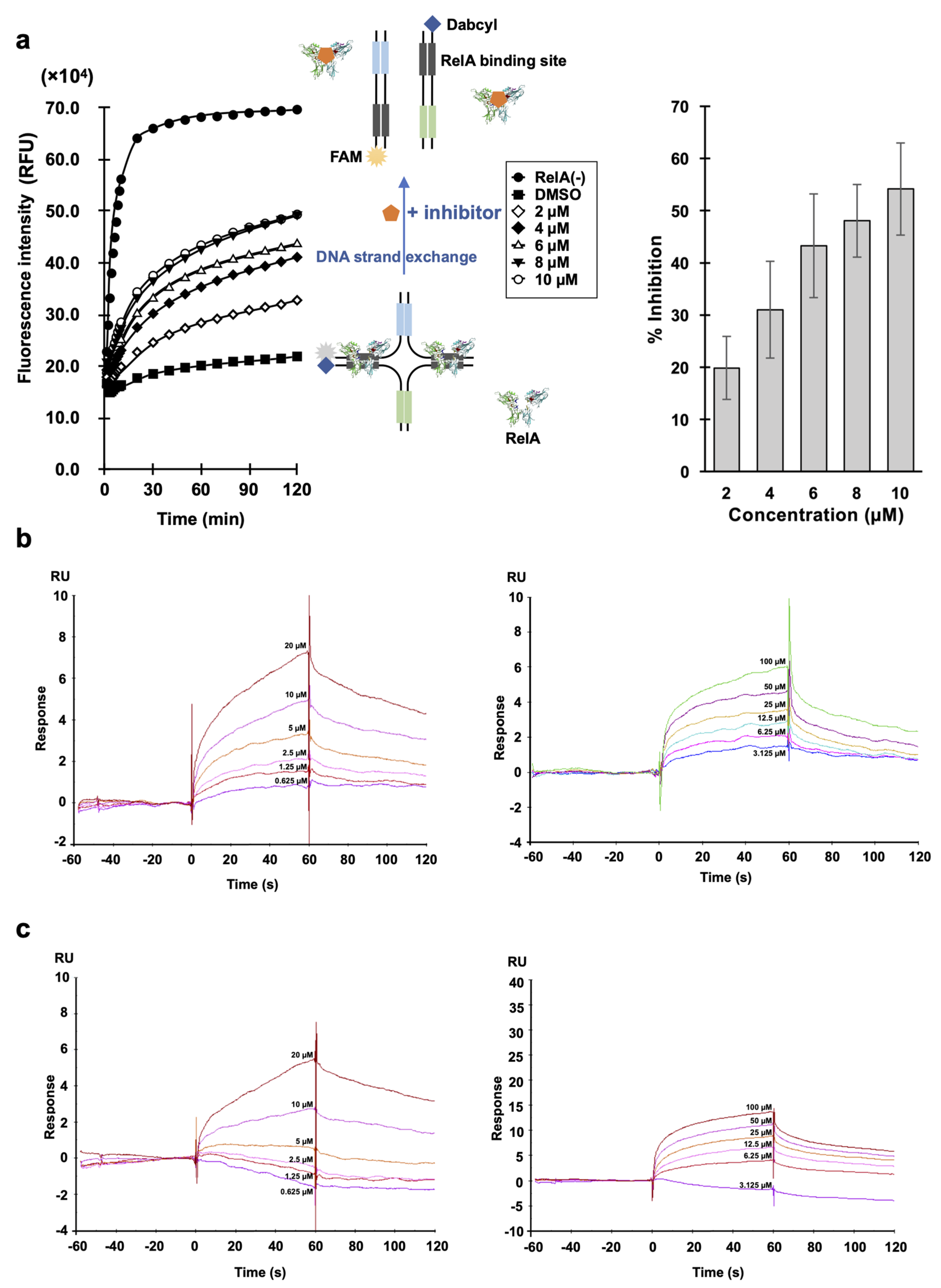 Ijms 21 09150 g002 Ijms 21 09150 g002